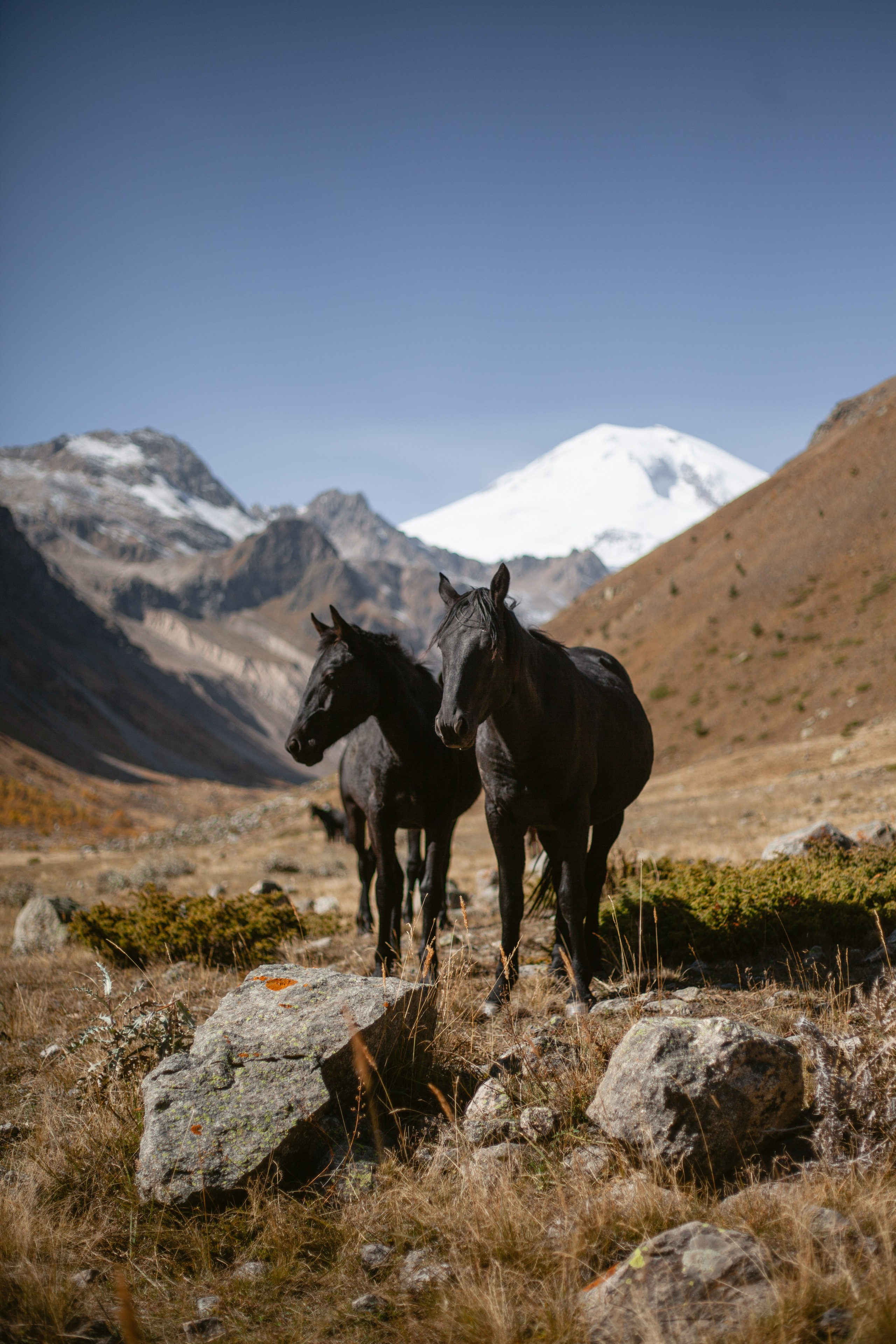 Трекинг Приэльбрусье. Уникальные экспедиции — LUCKY CLAN