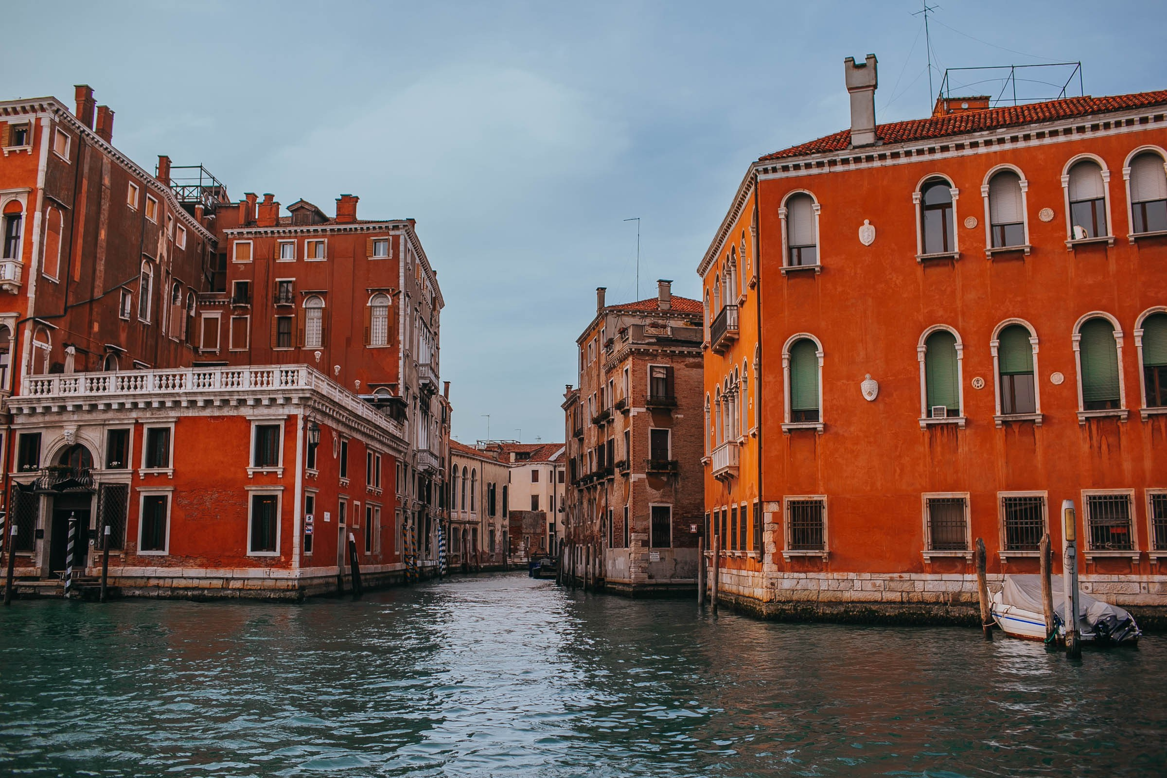 VENEZIA. Свадебный и Семейный фотограф в Санкт-Петербурге и Москве Иона Дидишвили