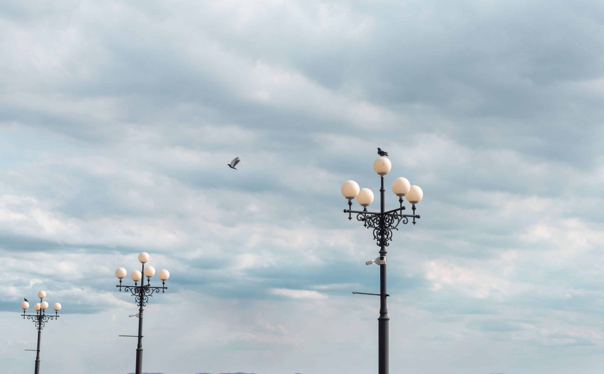 Стрит-фото. Семейный и детский фотограф в Хабаровске Алевтина Проскурякова