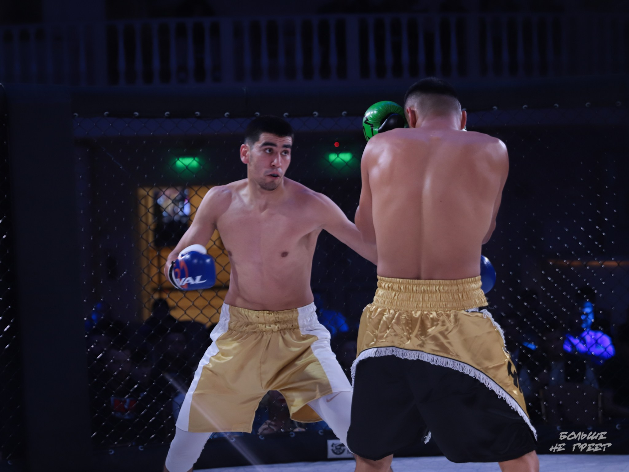 SABR FIGHTING. Больше не греет