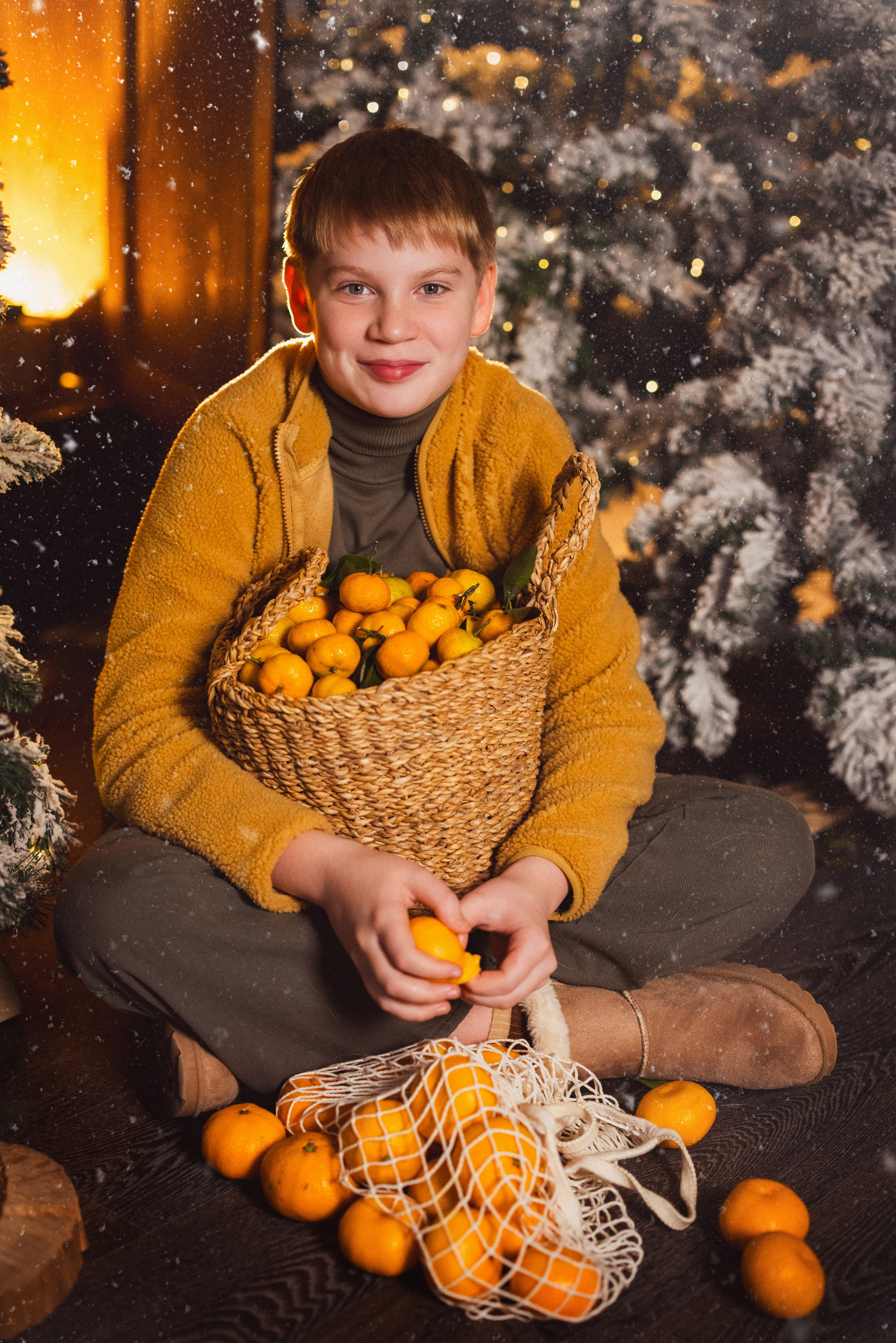 Фотосессия с собачками Корги в зимних декорациях фотостудии «Майя», город Краснодар. Семейный и детский фотограф в Краснодаре Анна Трашкова