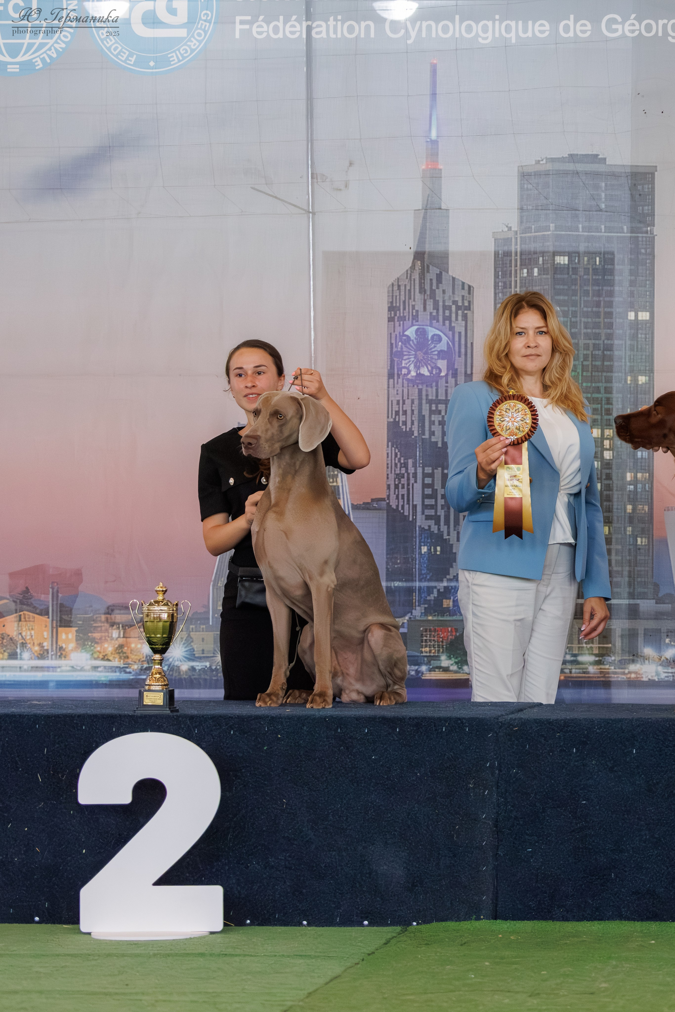 Батуми 3хCACIB 27-29.06.2025. Фотограф-анималист Юлия Германика