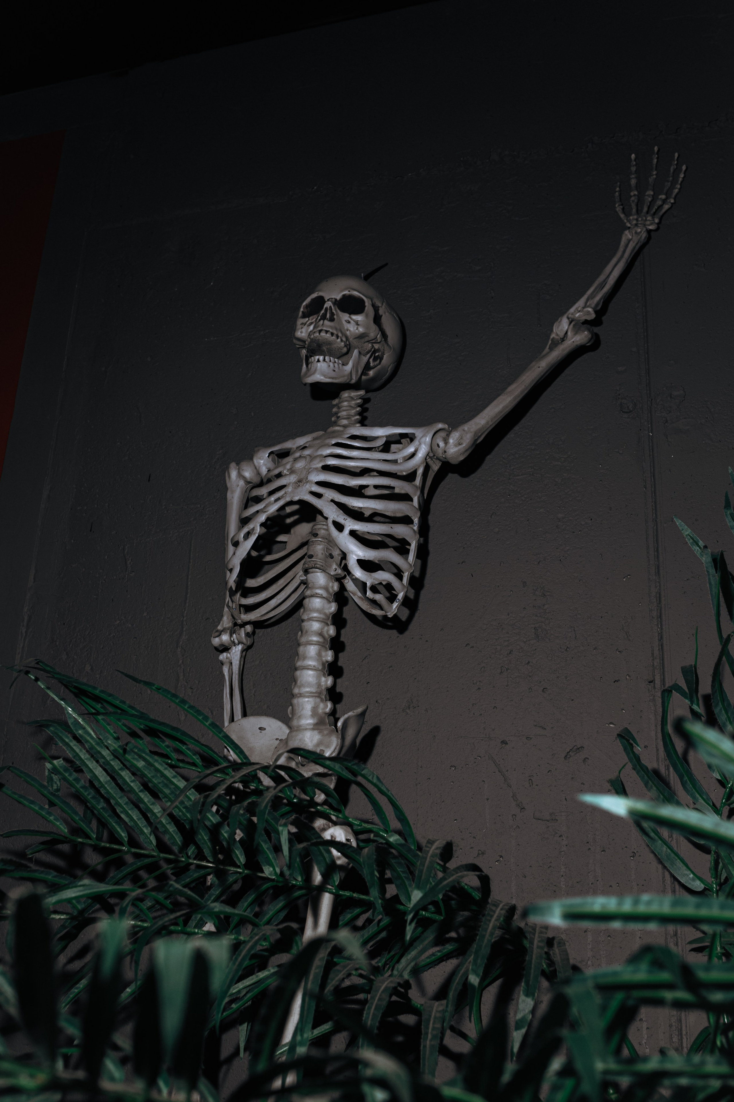 Правда Бар. Свадебный фотограф | Москва