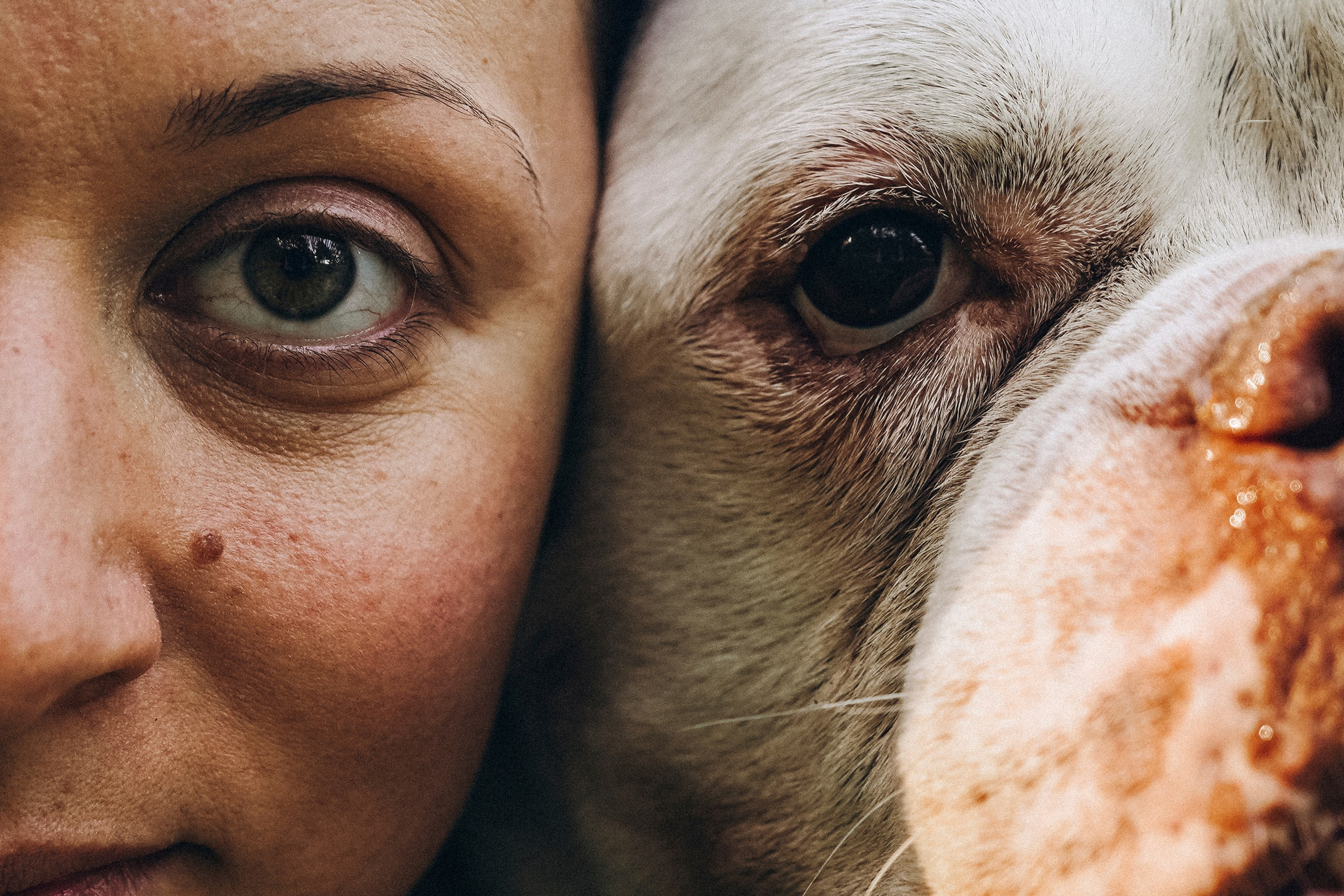 «Наша маленькая безумная семья». Фотограф Казань