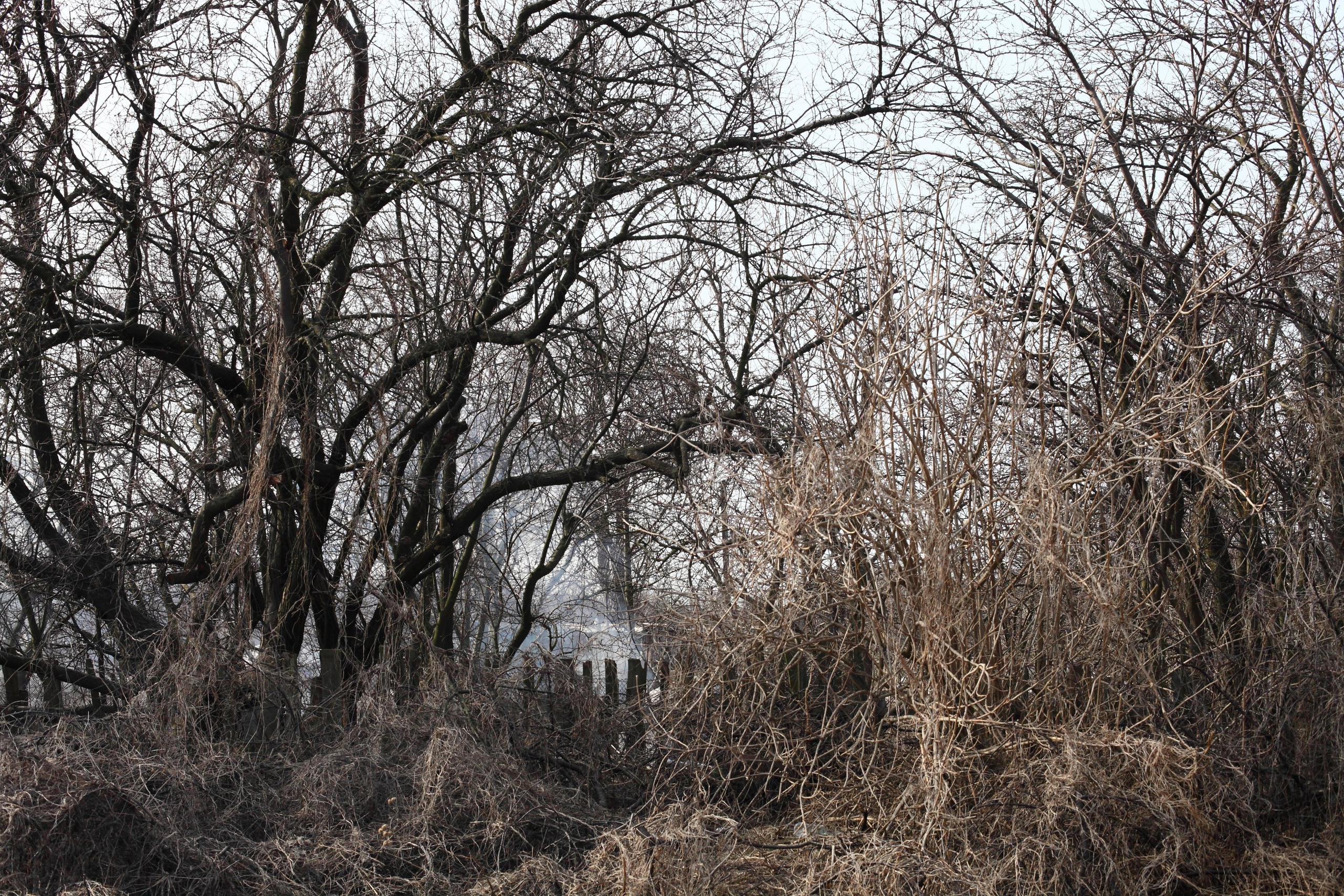 Ареал обитания. Фотографии Саши Любина