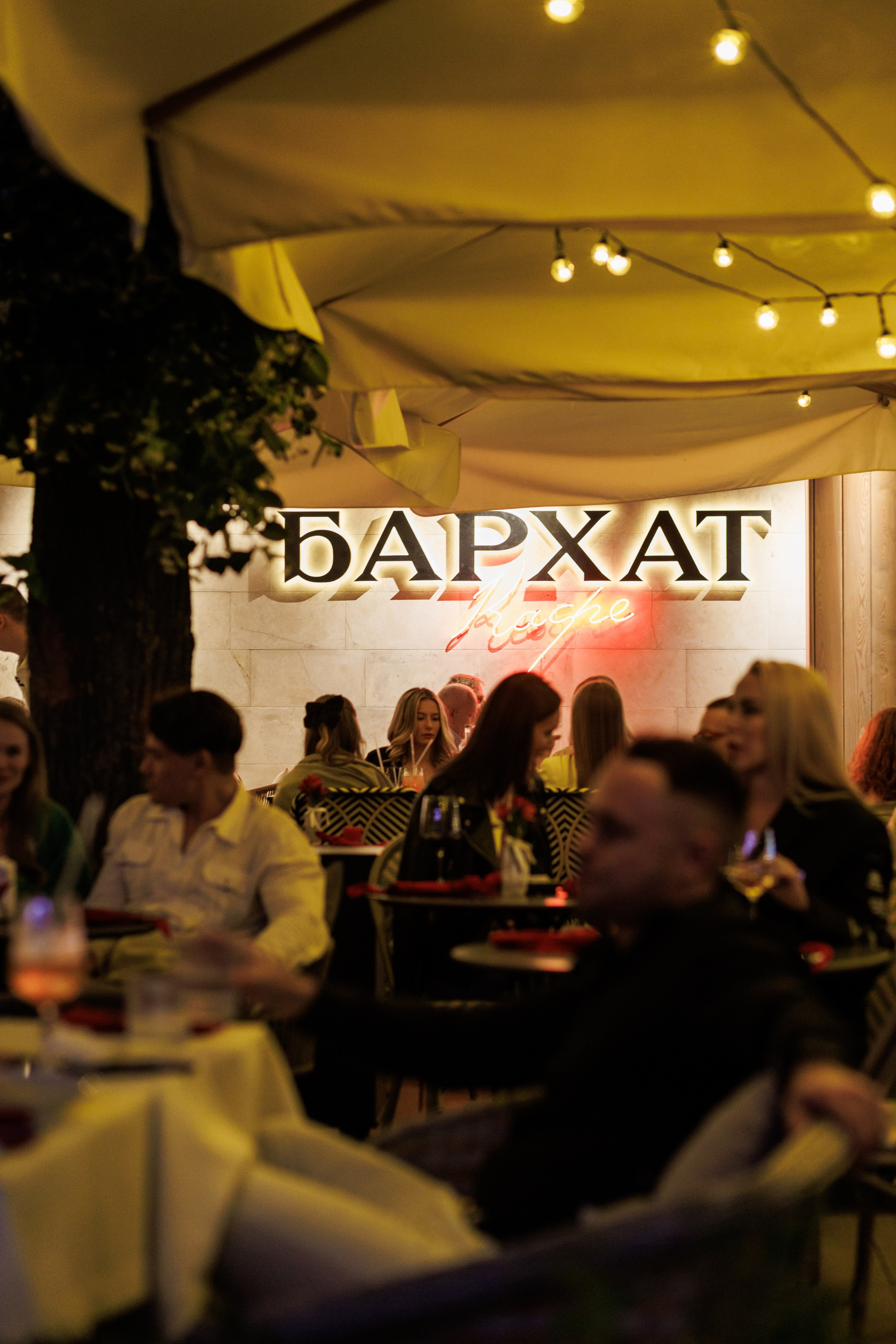 Бархат открытие летней веранды. Https://andreysolodov.ru