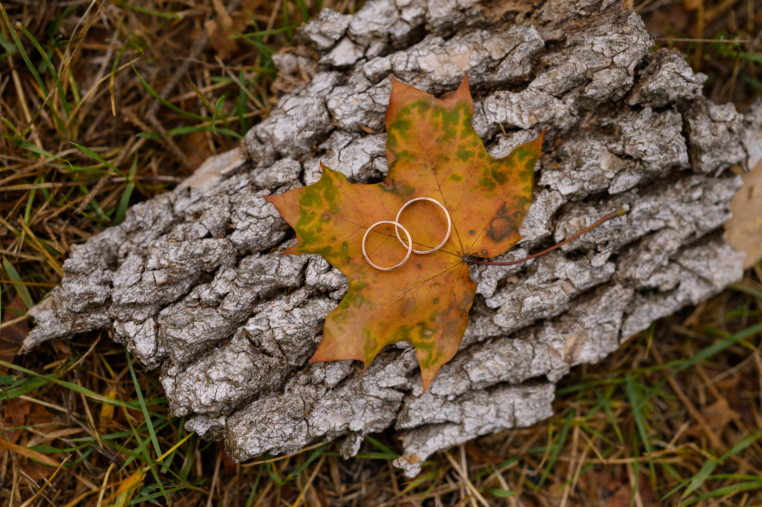 Свадебная фотосессия. Свадебный и семейный фотограф в Миллерово и Ростове Алёна Черепенина