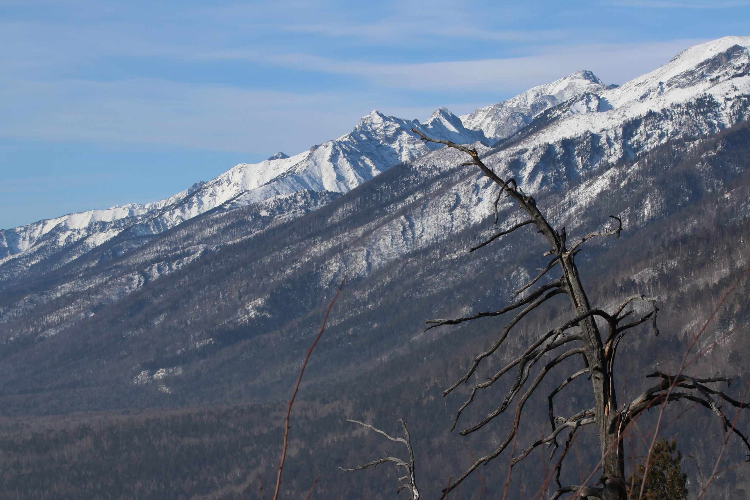 Аршан. Февраль 2025. Путешественник-фотограф из Санкт-Петербурга Татьяна Свистулина