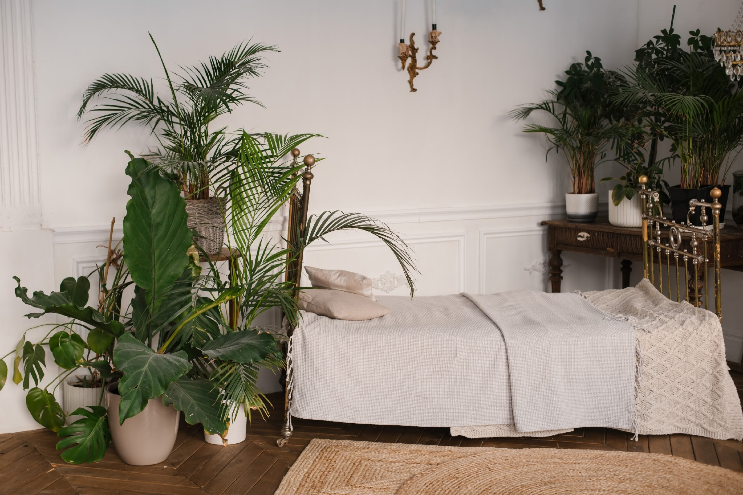 интерьер студии для фотосессии в пастельных тонах