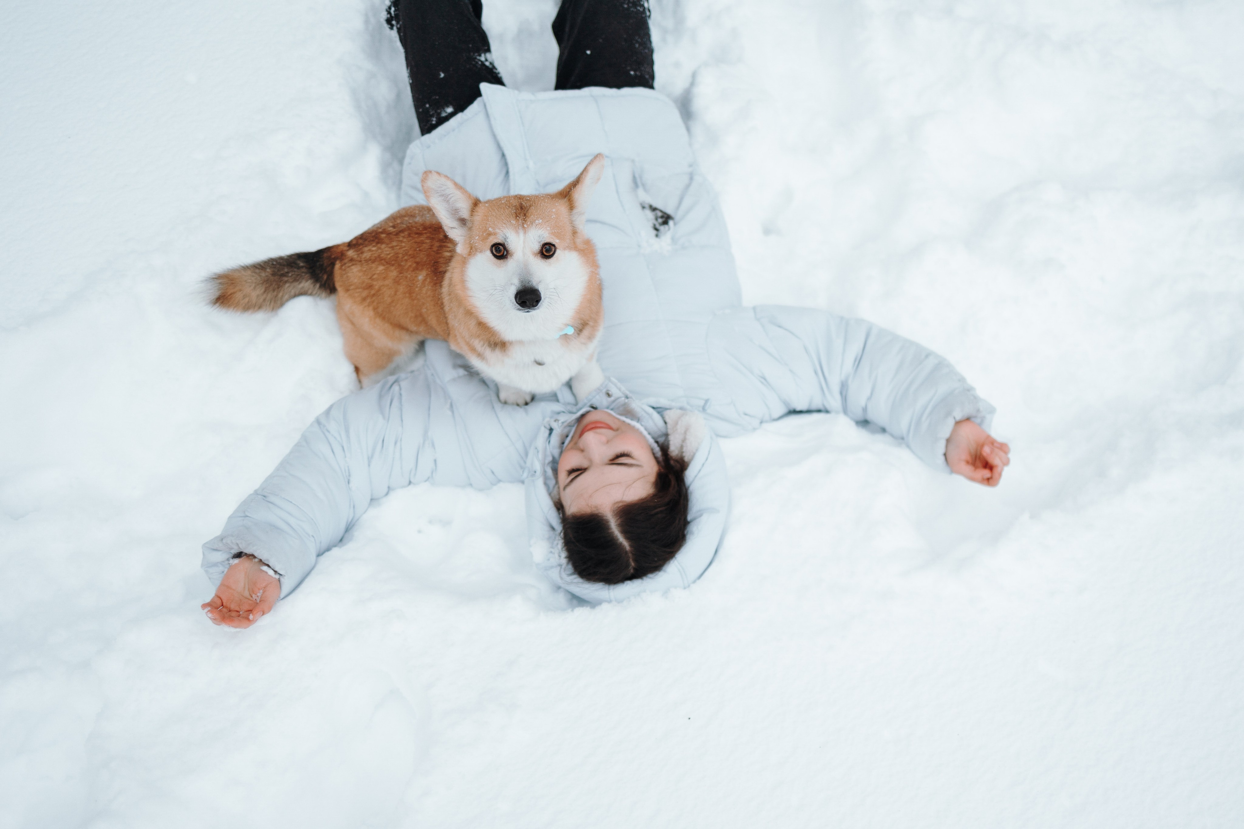 Оливка и ее семья. Фотограф — Анималист | Санкт-Петербург
