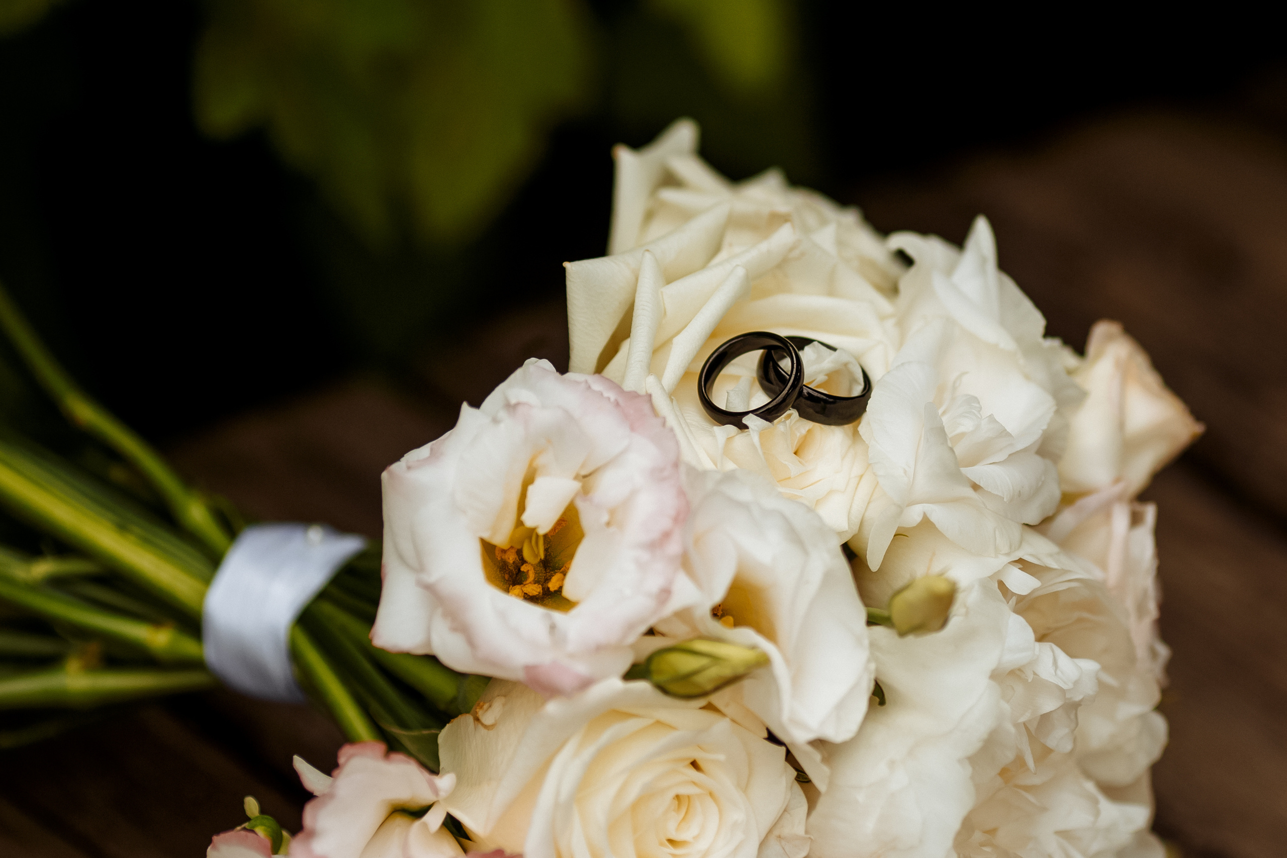 Wedding. Портретный фотограф, Славянка