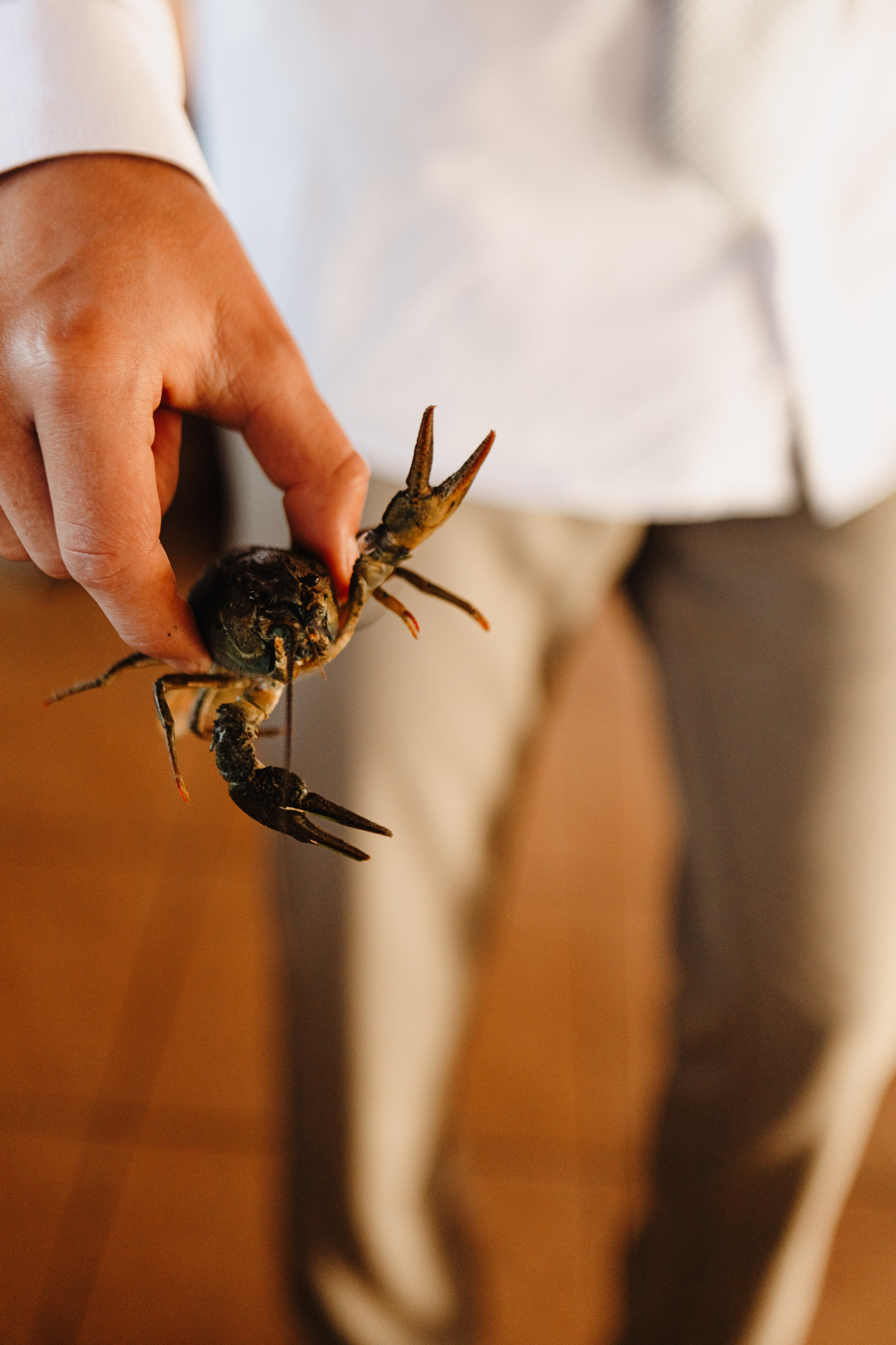 Александр и Юлия. Свадебный фотограф Мария Печенева I Екатеринбург