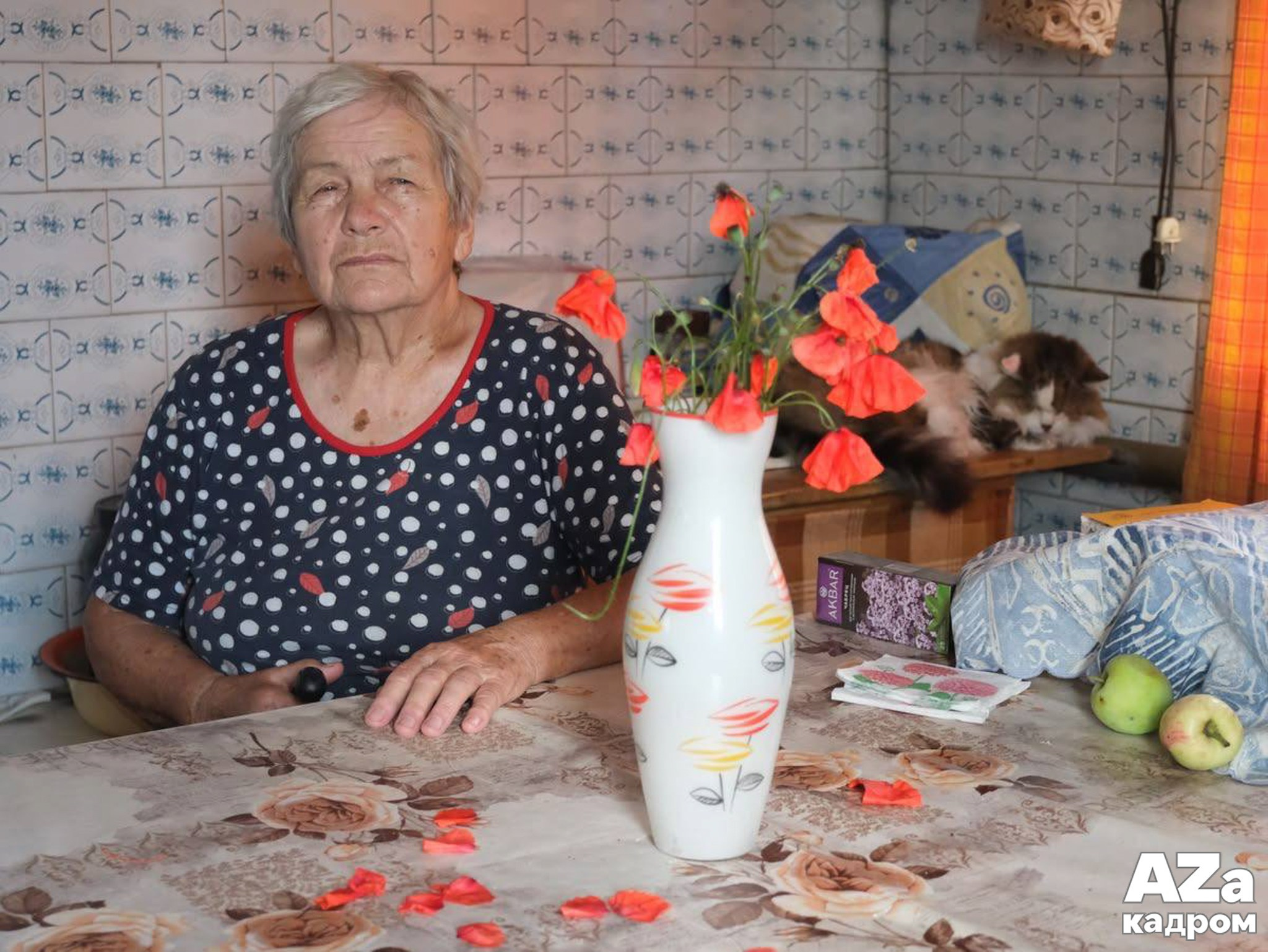 Лучшие кадры участников фотоклуба AZакадром по заданию «Стоп-слово»