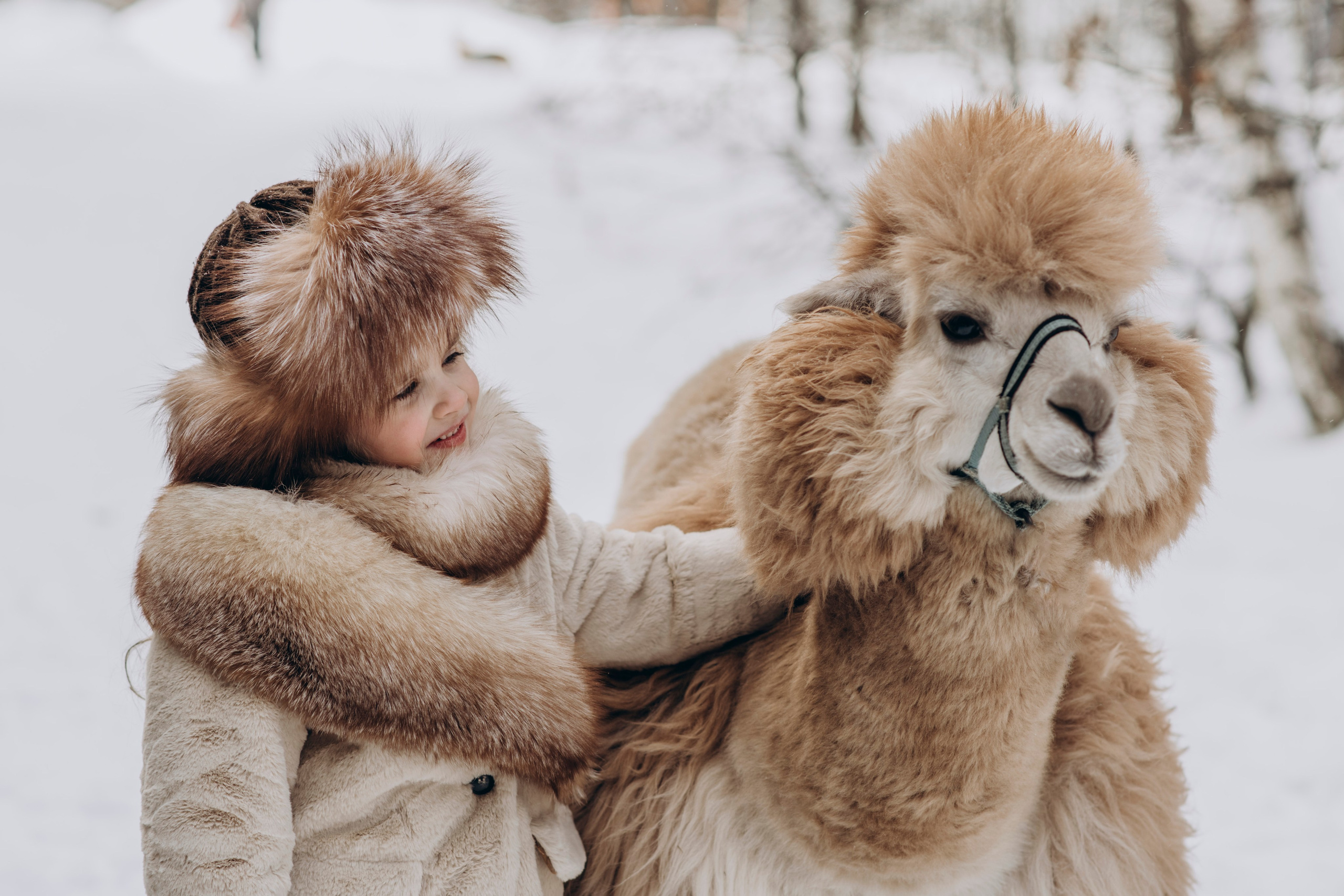 Зимняя фотосессия с Альпаками. Свадебный фотограф в Дмитрове