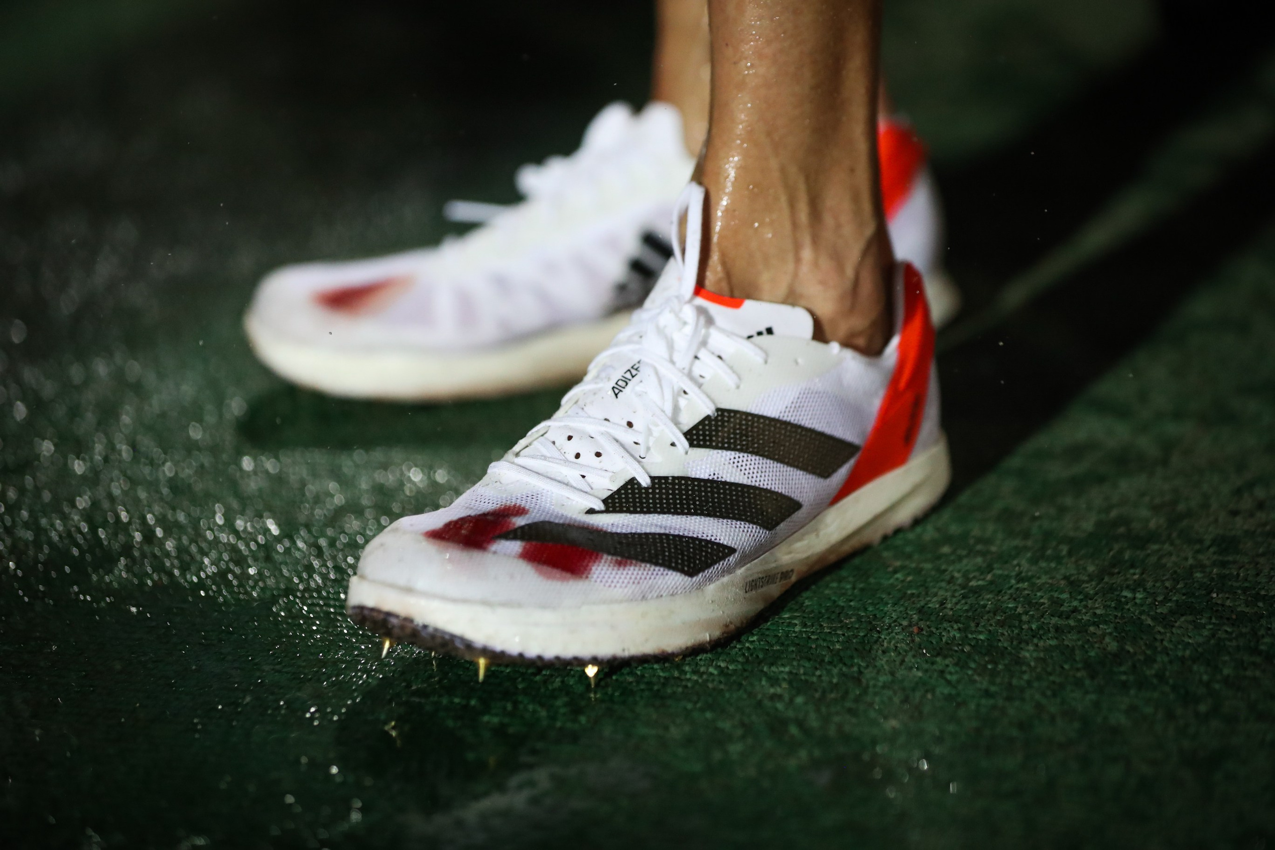 Фотограф Светлана Дмитриева