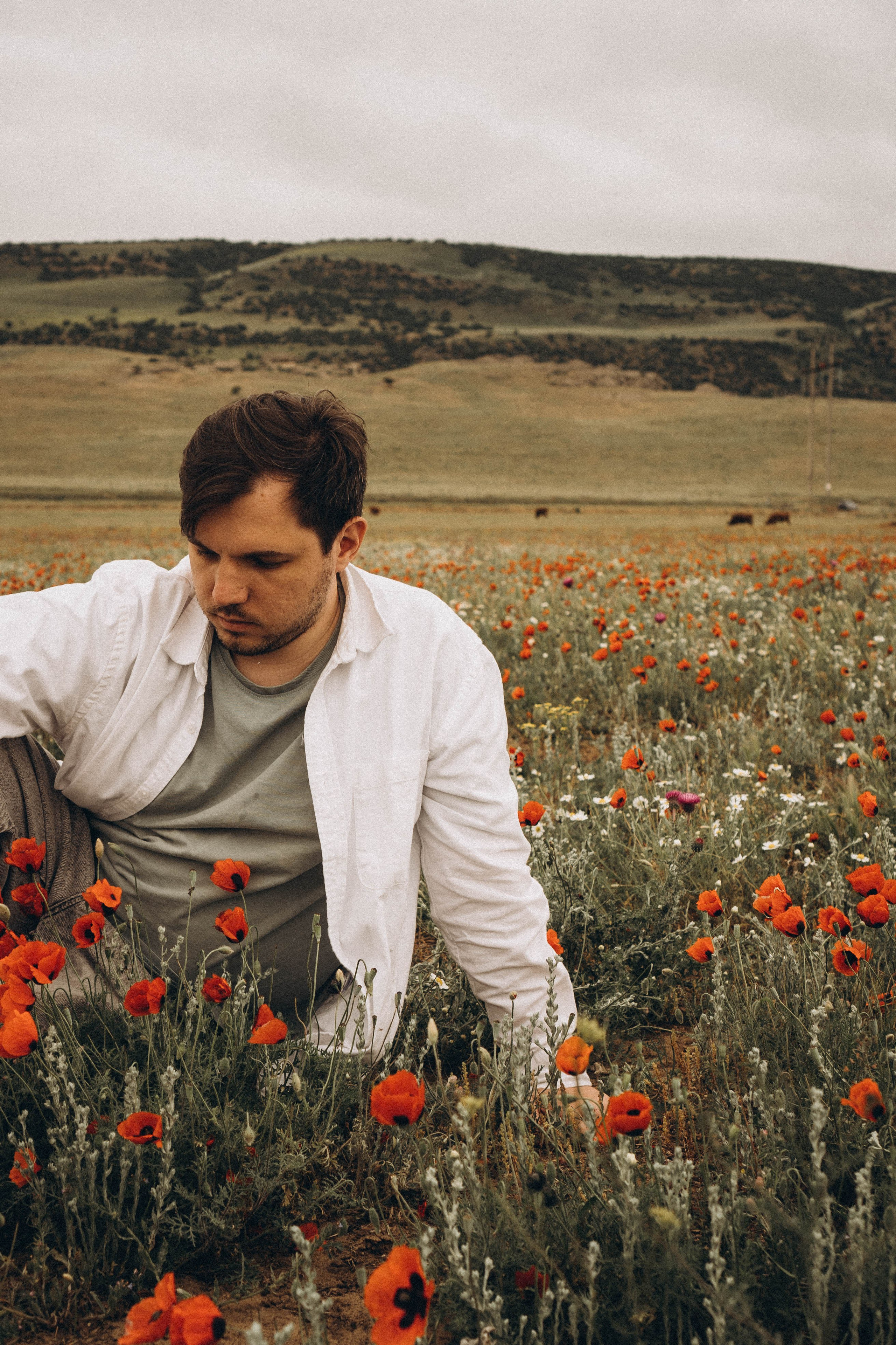 Маки. Профессиональный фотограф, Санкт-Петербург — Виктория Богомолова