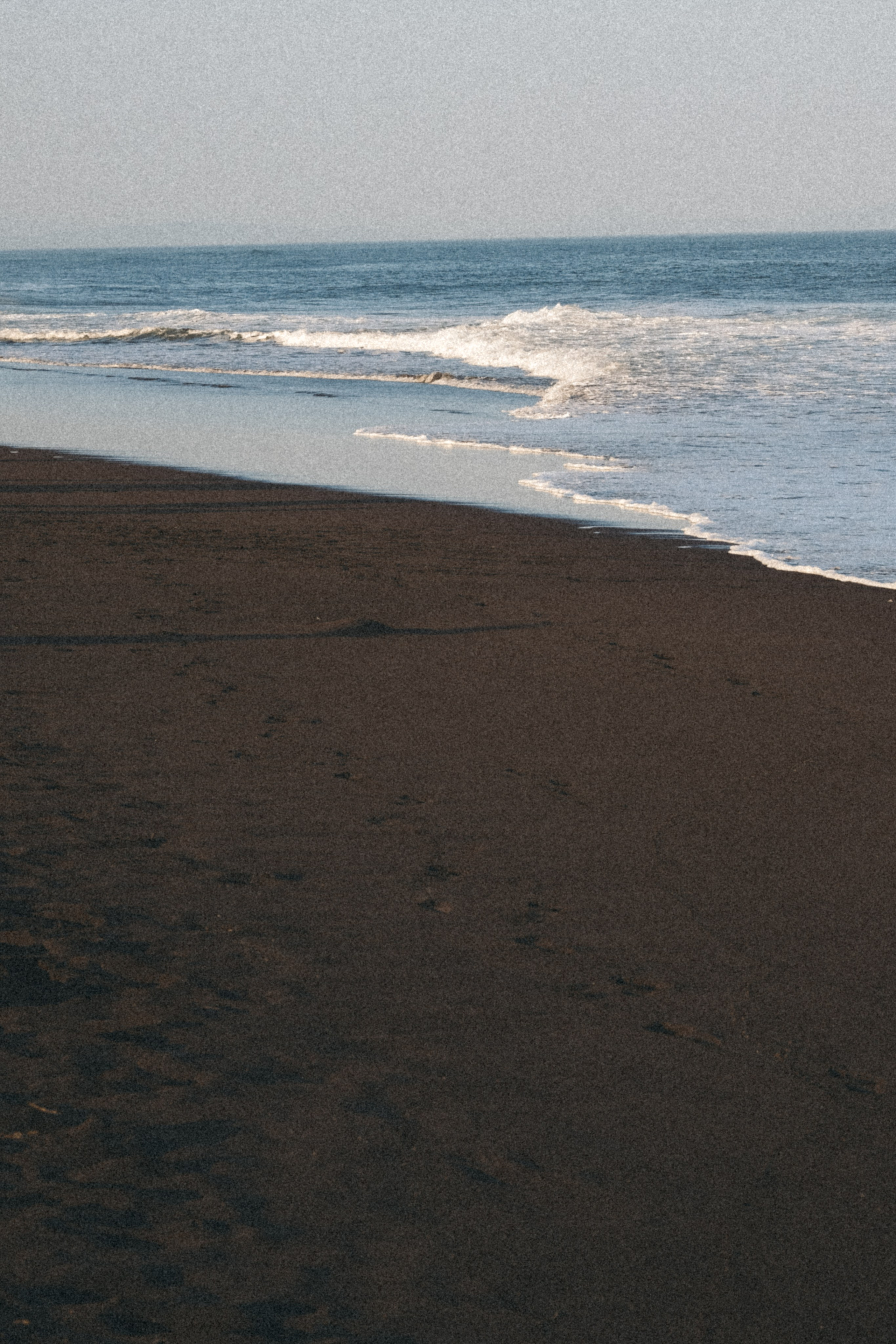 Тихий океан. Профессиональный фотограф, Санкт-Петербург — Виктория Богомолова