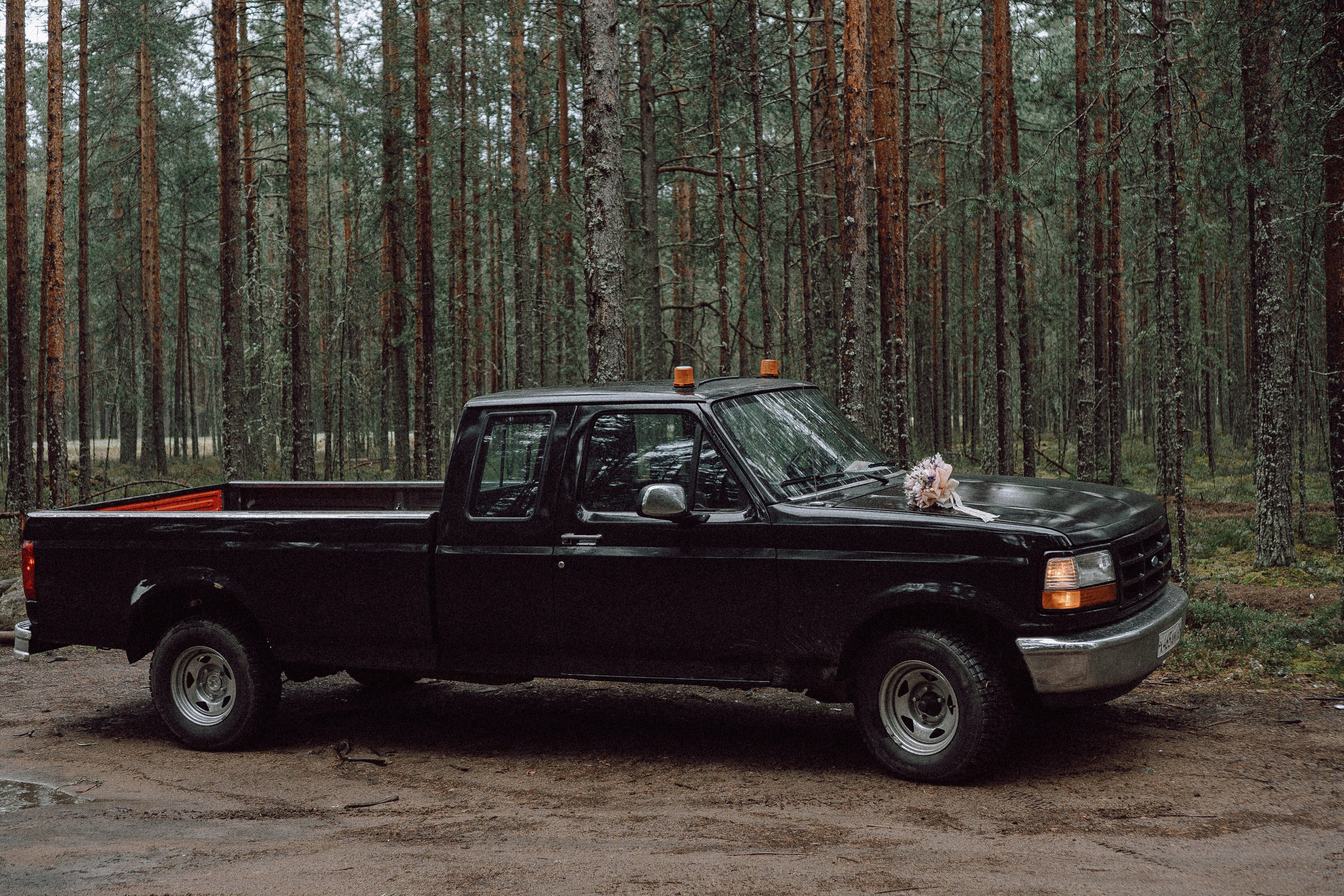 СВАДЕБНАЯ ФОТОСЕССИИЯ ПАРЫ В ГОРОДЕ ПРИОЗЕРСК В СОСНОВОМ ЛЕСУ И С ПИКАПОМ. Профессиональный фотограф, Санкт-Петербург — Виктория Богомолова