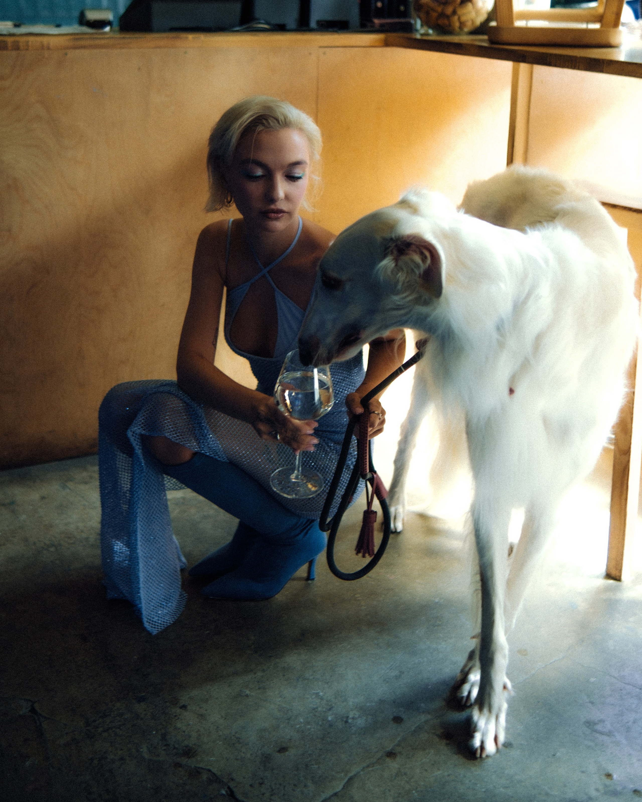 Dogbar. Dariaegudina.ru