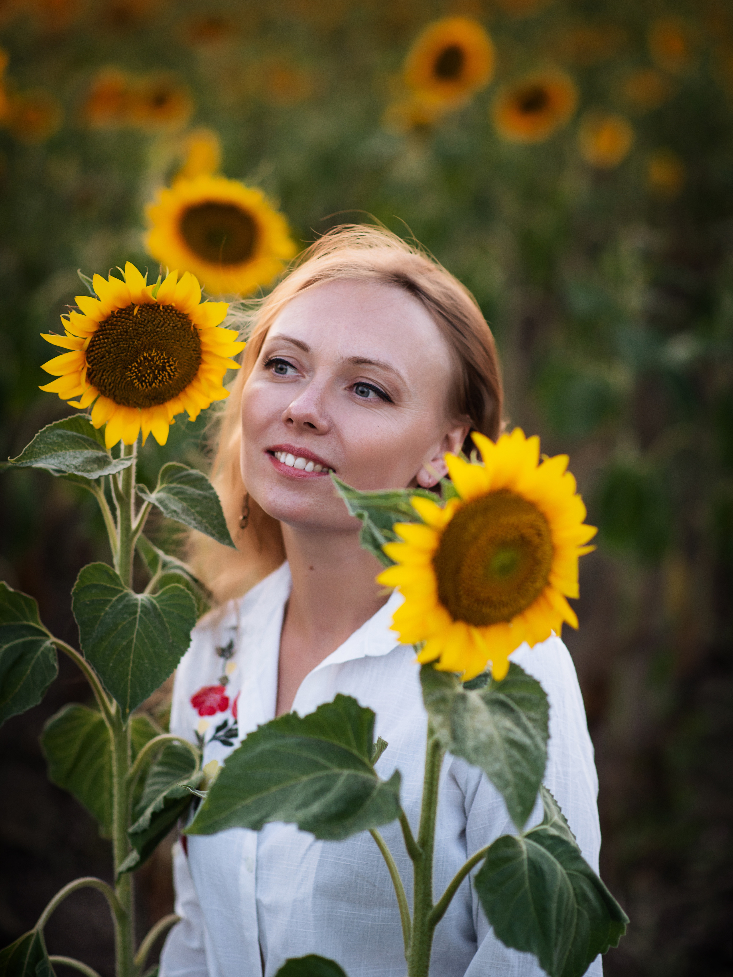 фотосессия в подсолнухах Крым, фотограф Севастополь, фотограф в Севастополе, фотосессия Севастополь, фотосессия в Севастополе, женский портрет, стоимость фотосессии Севастополь, фотограф Севастополь цена, семейная фотосессия Севастополь, услуги фотографа Севастополь, фотограф Севастополь прайс