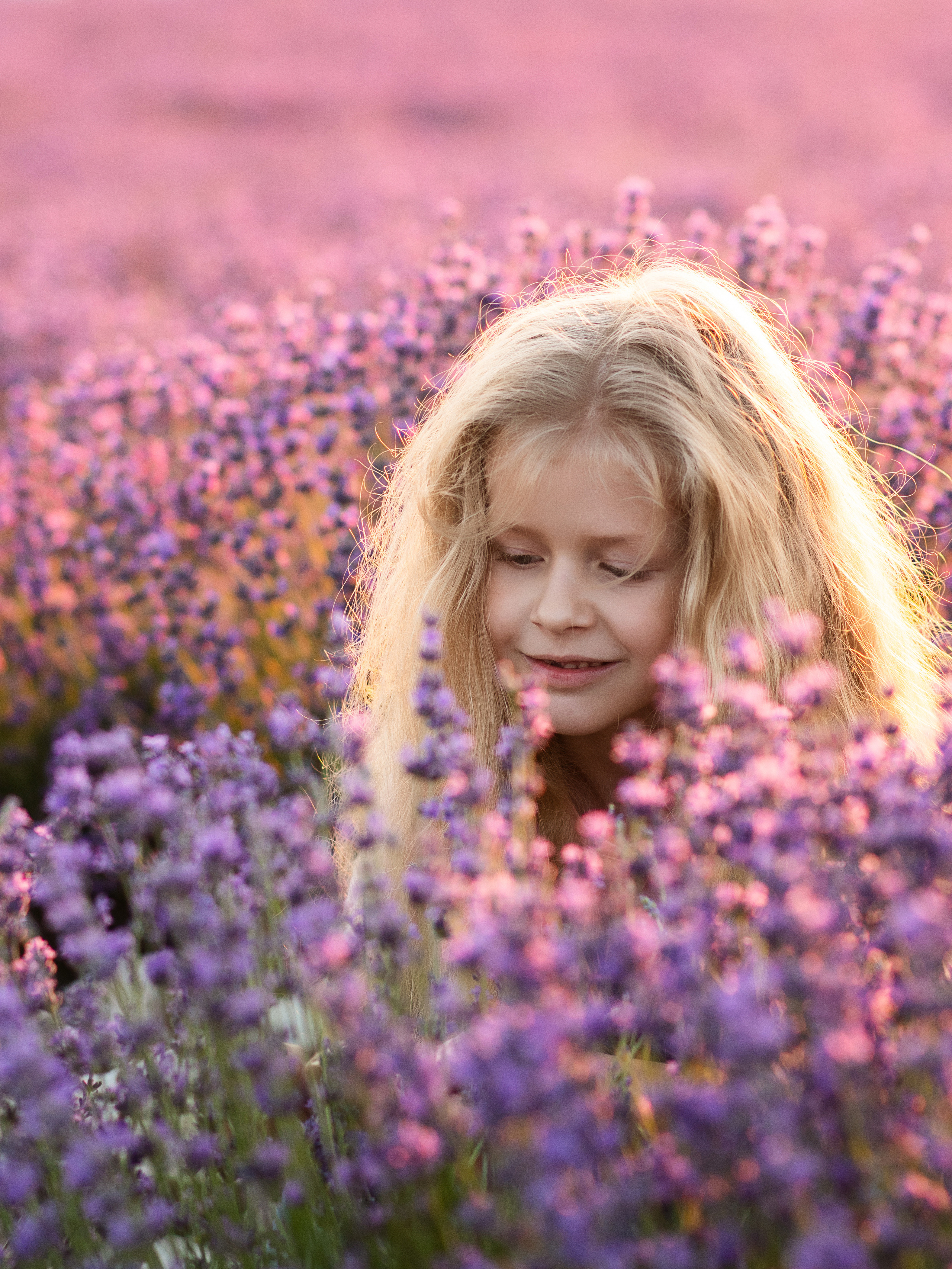 фотограф Севастополь, фотограф в Севастополе, фотосессия в лаванде Крым, фотосессия в лавандовом поле Крым, лавандовое поле Крым, стоимость фотосессии в лаванде, фотосъёмка в лавандовом поле, лаванда Крым, детский фотограф Севастополь, фотосессия в лаванде цена