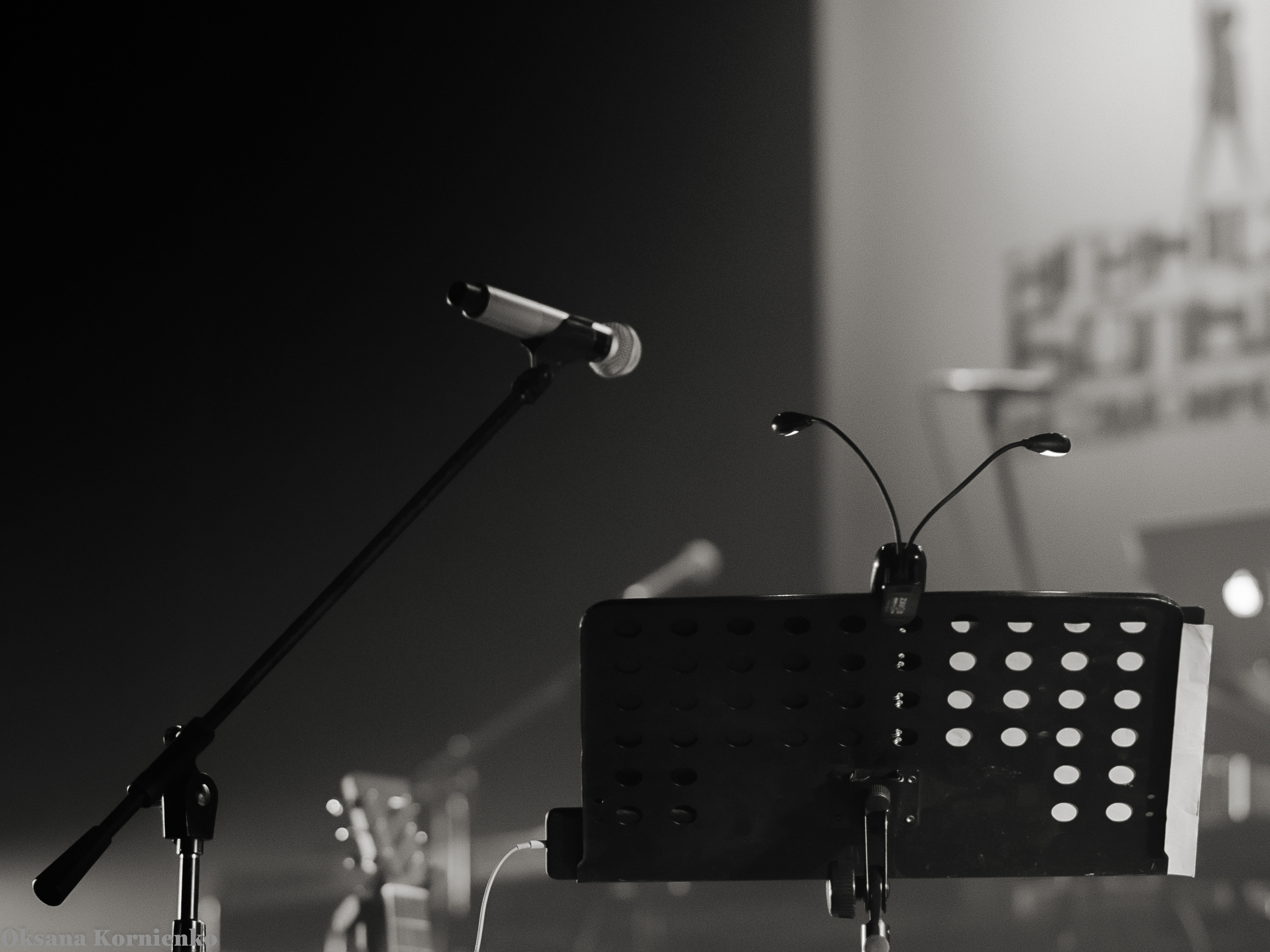 фотограф в Севастополе, концертный фотограф,  репортажный фотограф, фотограф Севастополь, фотограф Крым, фотограф в Крыму, Светлана Сурганова, Краснодар