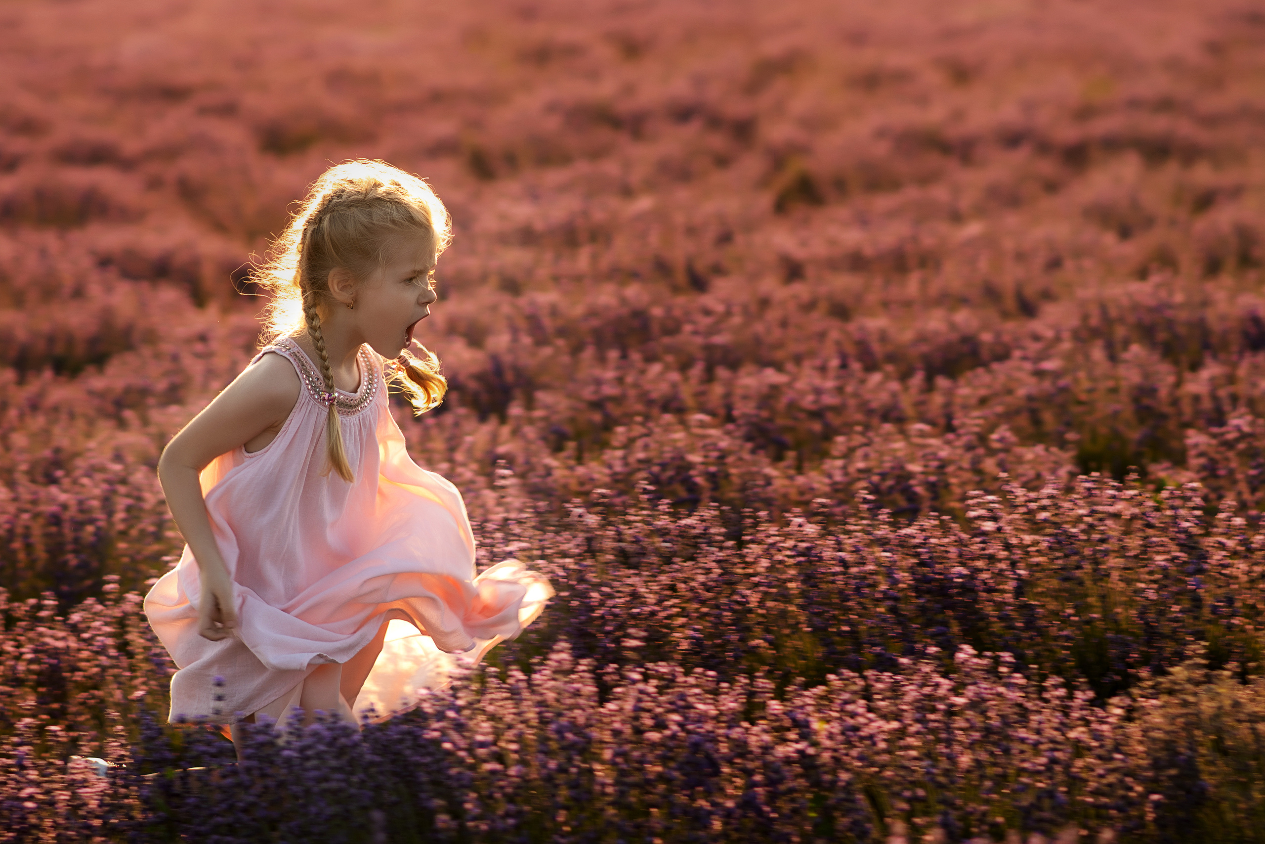 фотограф Севастополь, фотограф в Севастополе, фотосессия в лаванде Крым, фотосессия в лавандовом поле Крым, лавандовое поле Крым, стоимость фотосессии в лаванде, фотосъёмка в лавандовом поле, лаванда Крым, детский фотограф Севастополь, фотосессия в лаванде цена