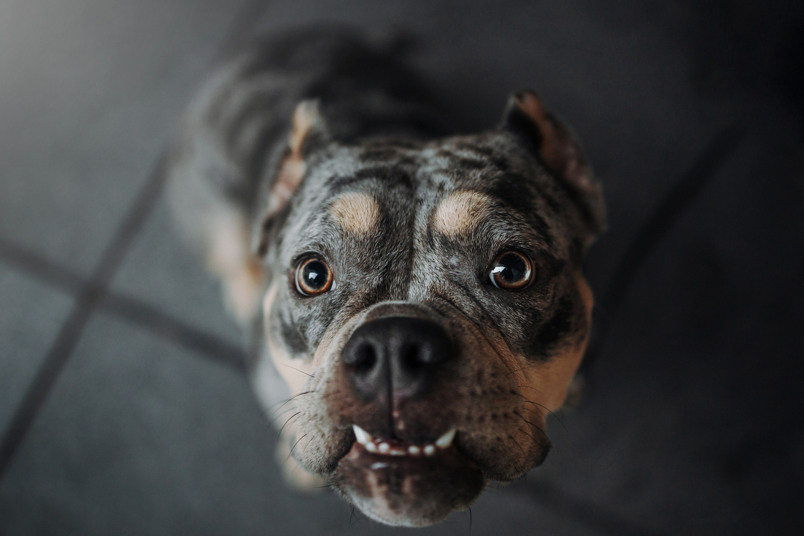 Лера и ее булочки. Фотограф — Анималист | Санкт-Петербург