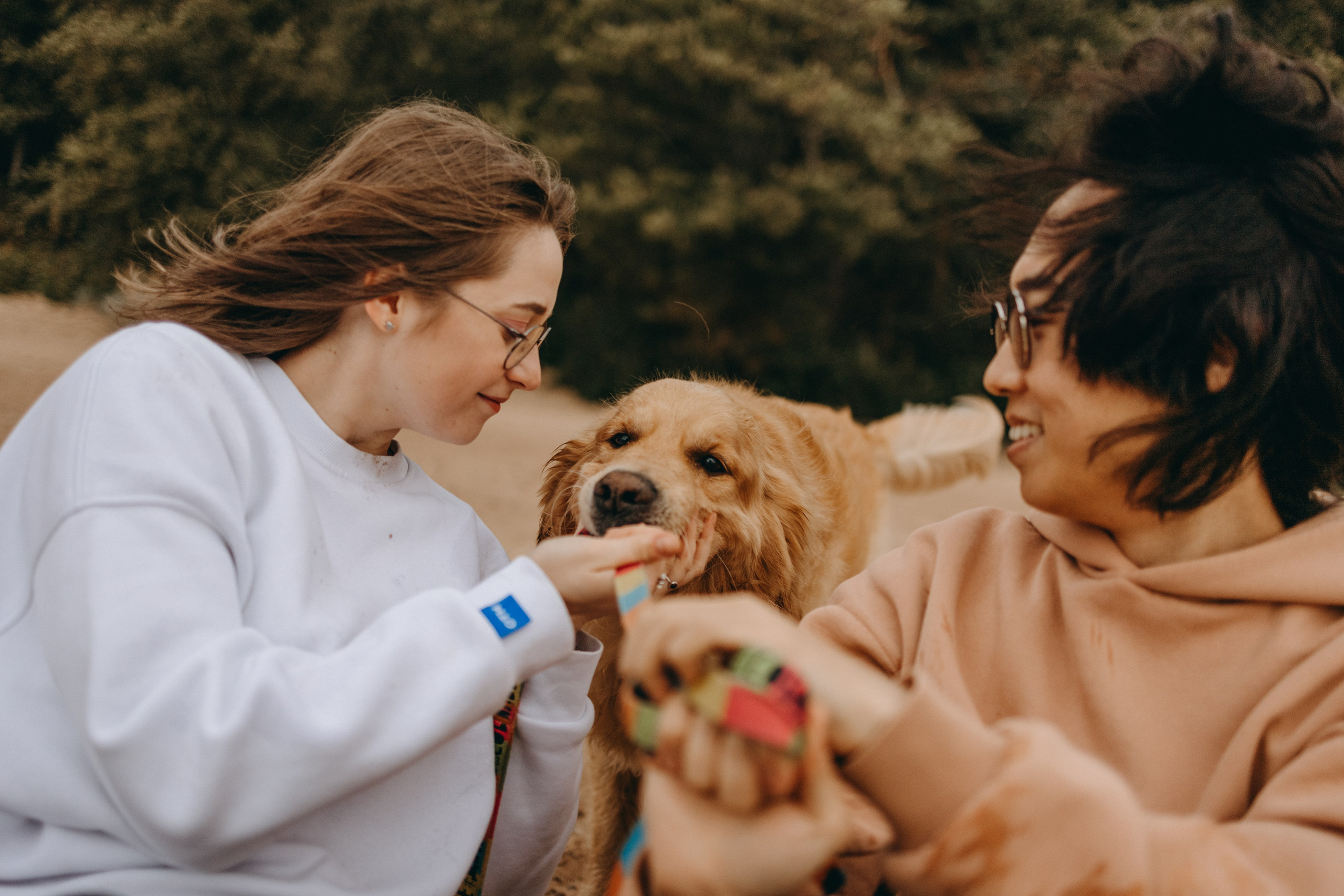 Фоси и его семьи. Фотограф — Анималист | Санкт-Петербург