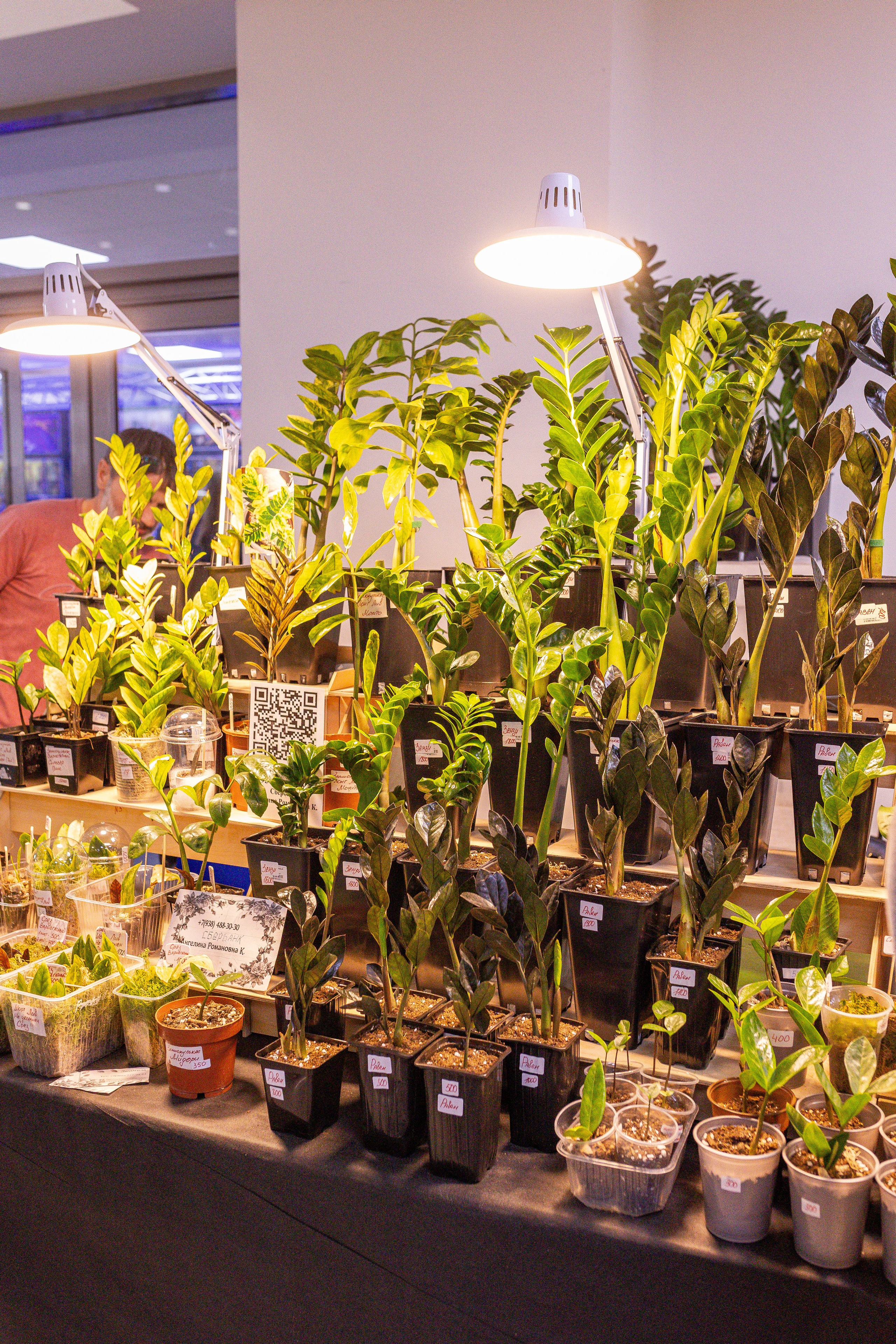 Монстериум апрель 2025. Александра Куликова фотограф, Москва