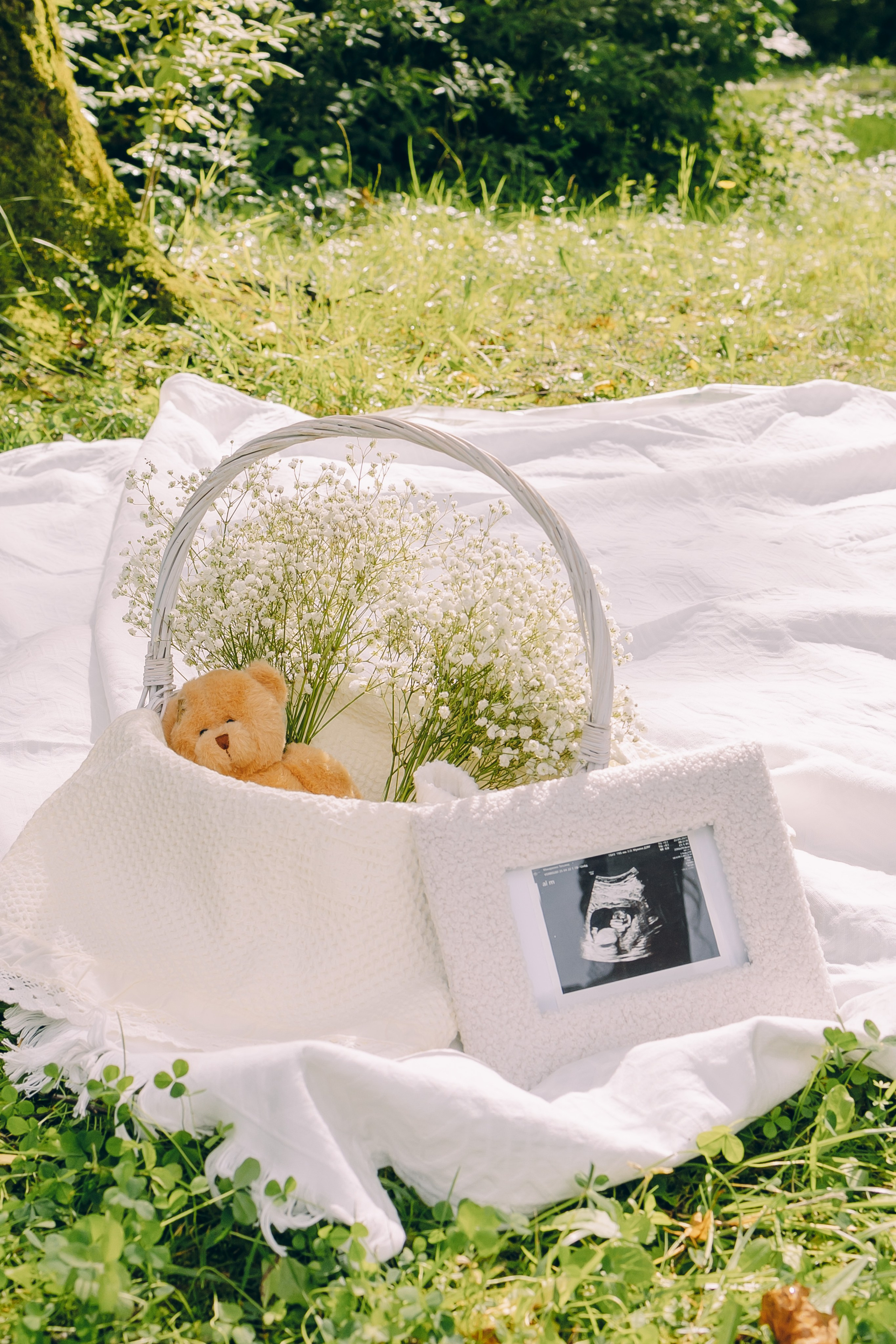 Фотосессия беременности. Семейный Фотограф в Москве Евгения Симоненко