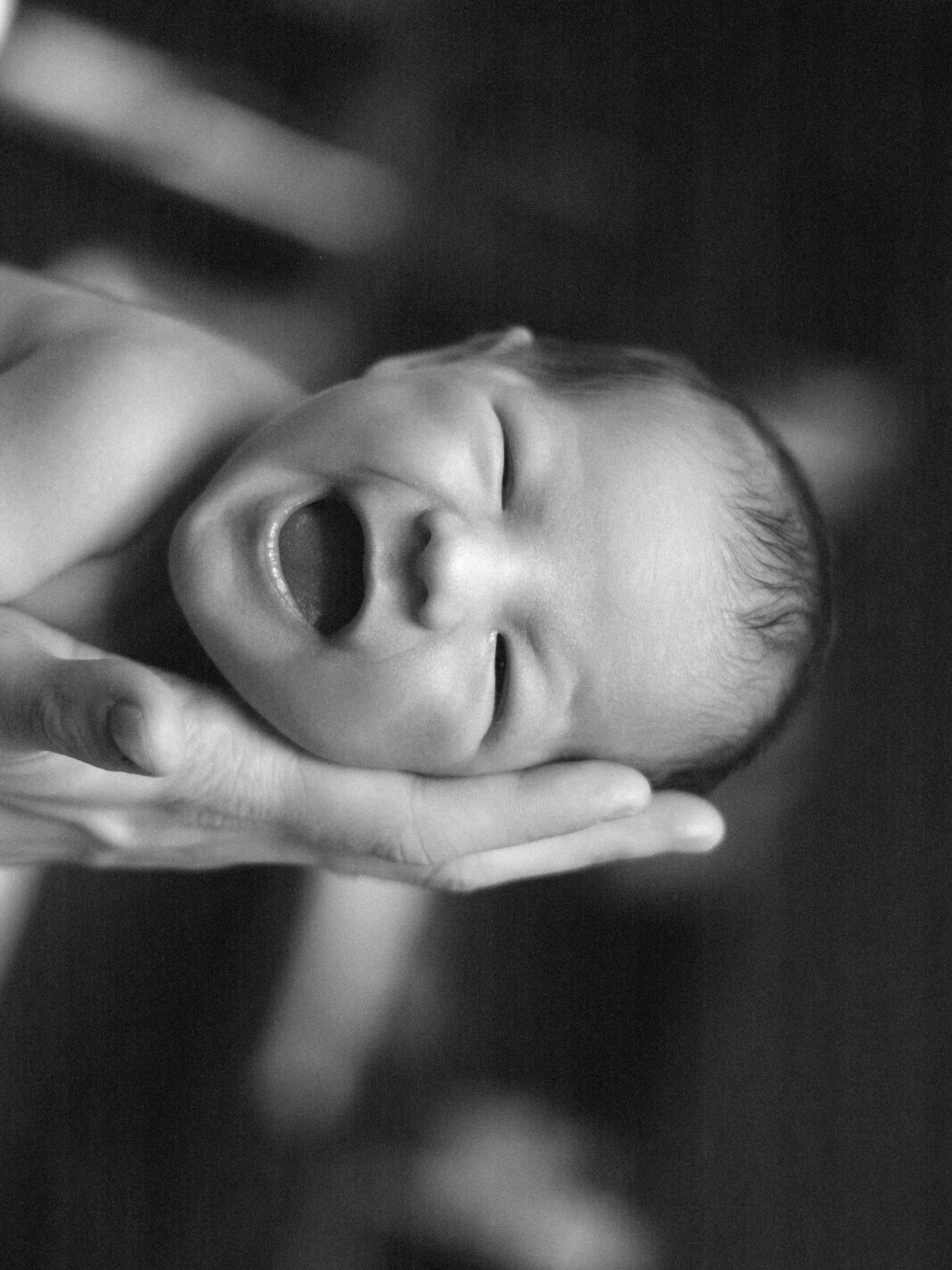 Мироша. SHILOVA PHOTO. Шилова Екатерина. Фотограф. Москва