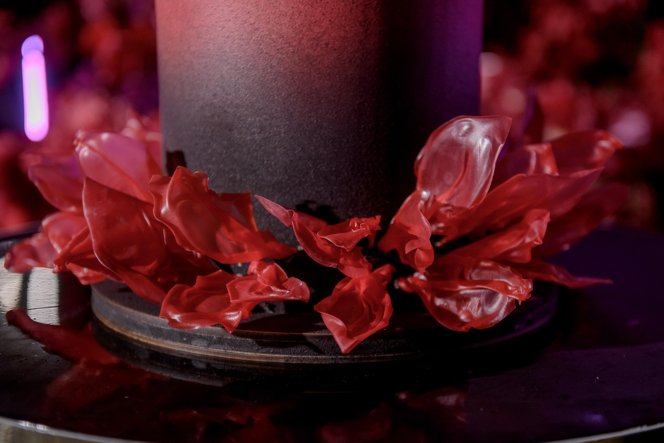 #Фуксия Ирина и Даня. Анна Чугунова