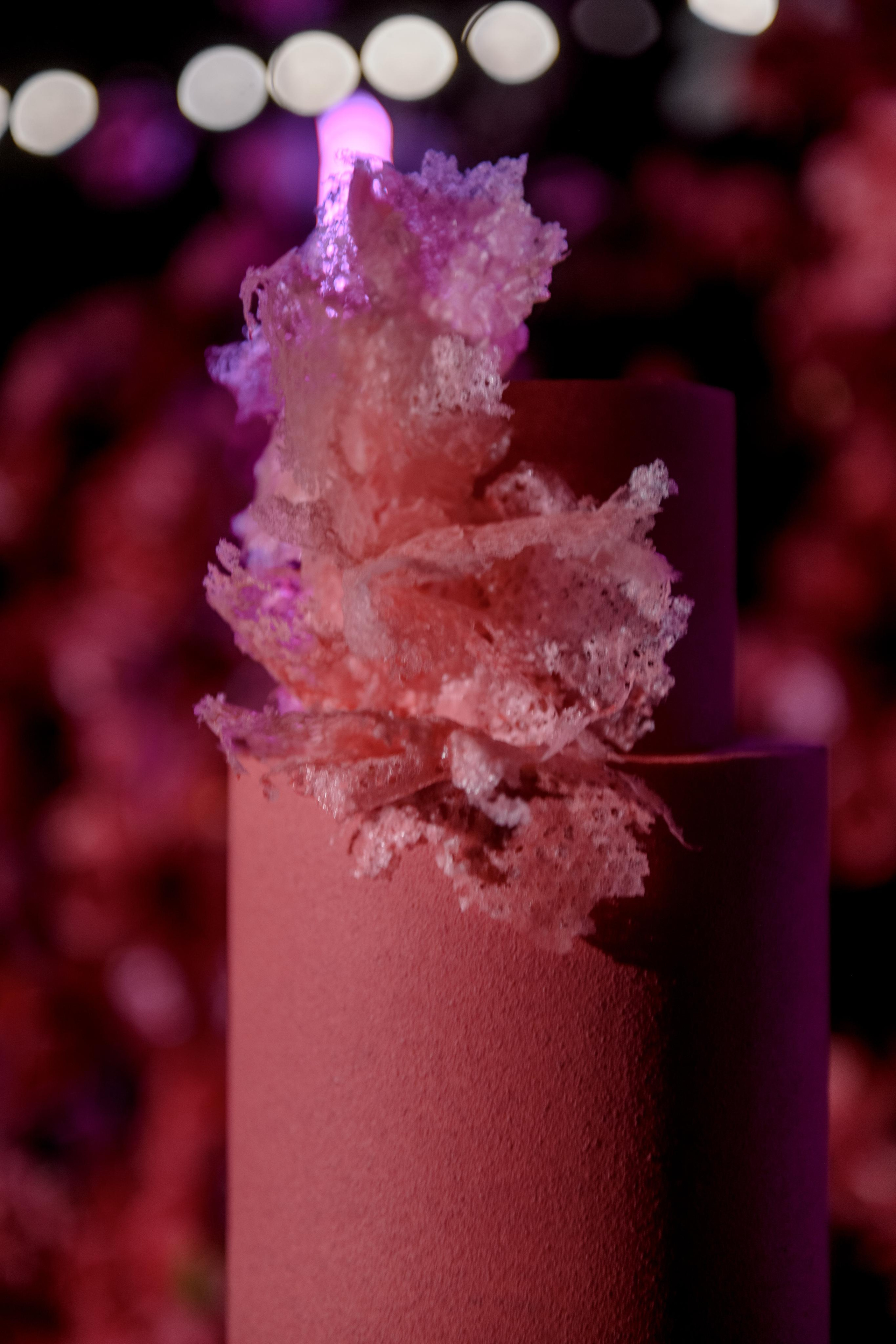 #Фуксия Ирина и Даня. Анна Чугунова