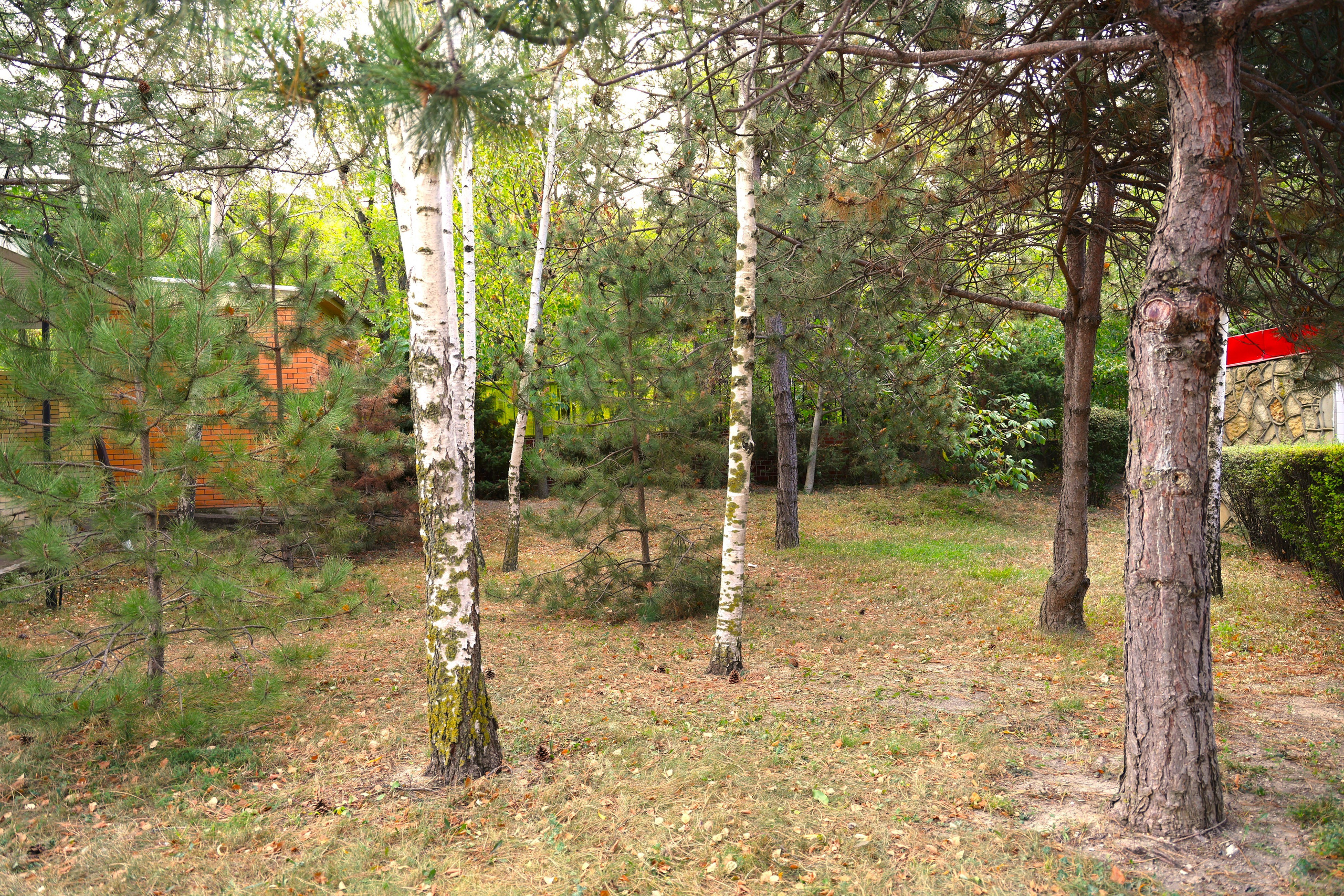 Ставрополец — Оздоровительный пансионат | с. Широкая Балка г. Новороссийск