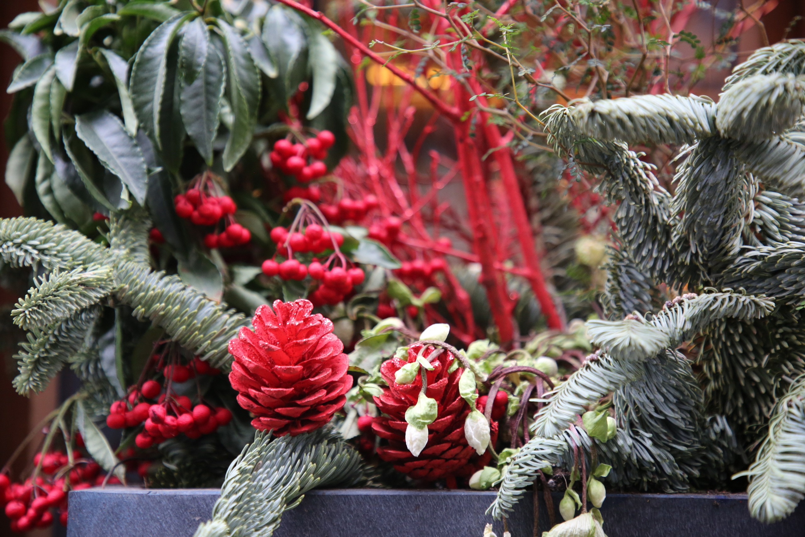 Geneva, Switzerland. Andrey Filippov Photographer