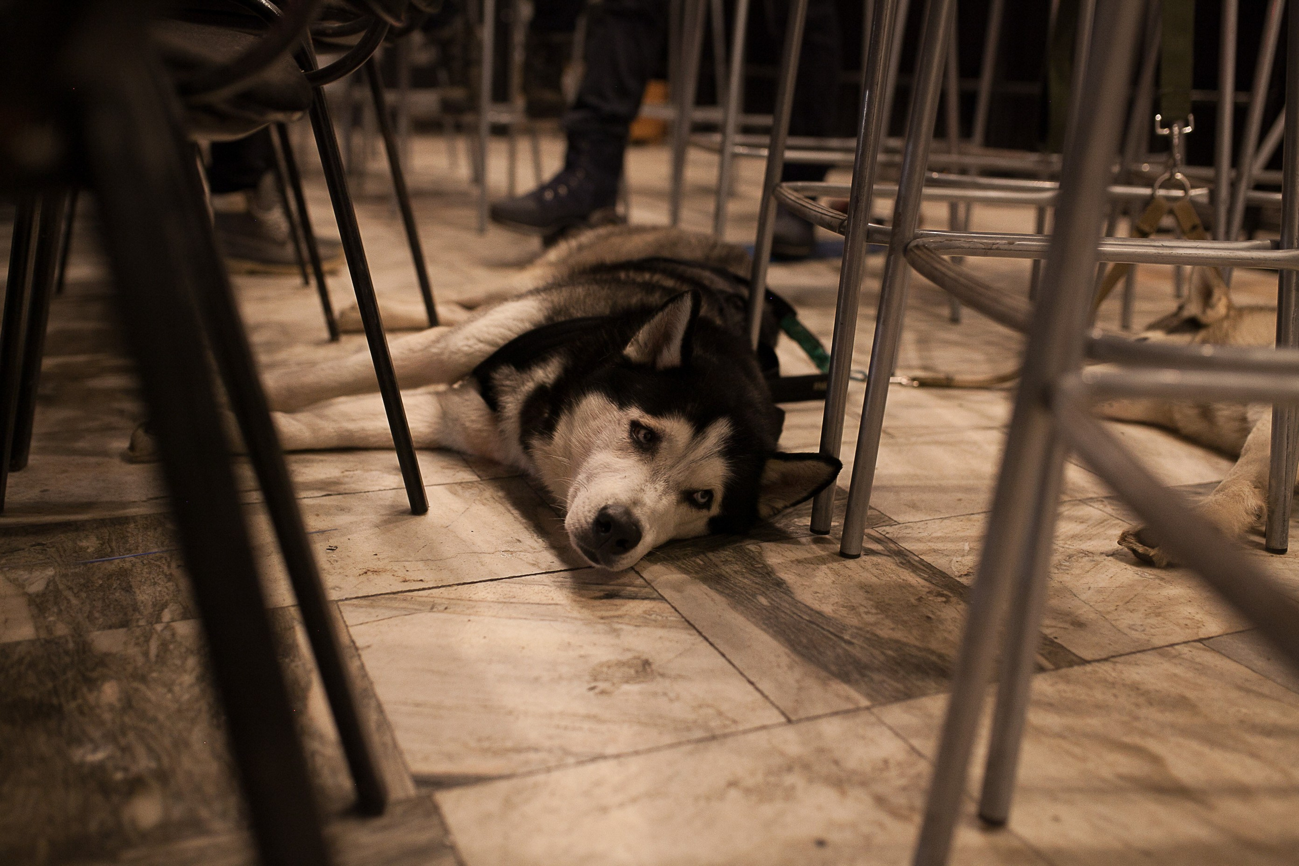 Фотоквартирник. Фотограф Дарья Локотко в Красноярске