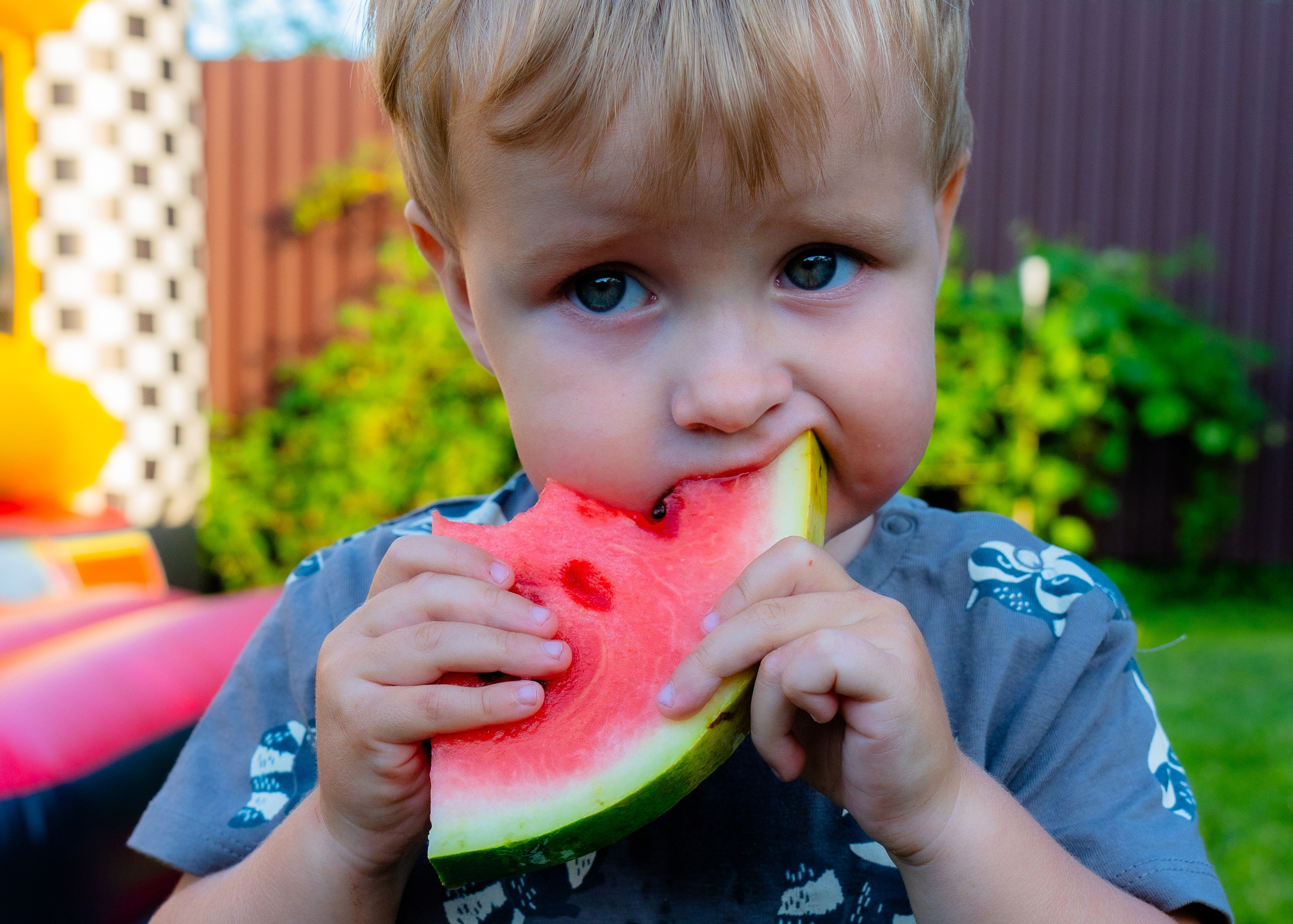 Вилли Вонка. Крамер Юлиана детский и семейный фотограф