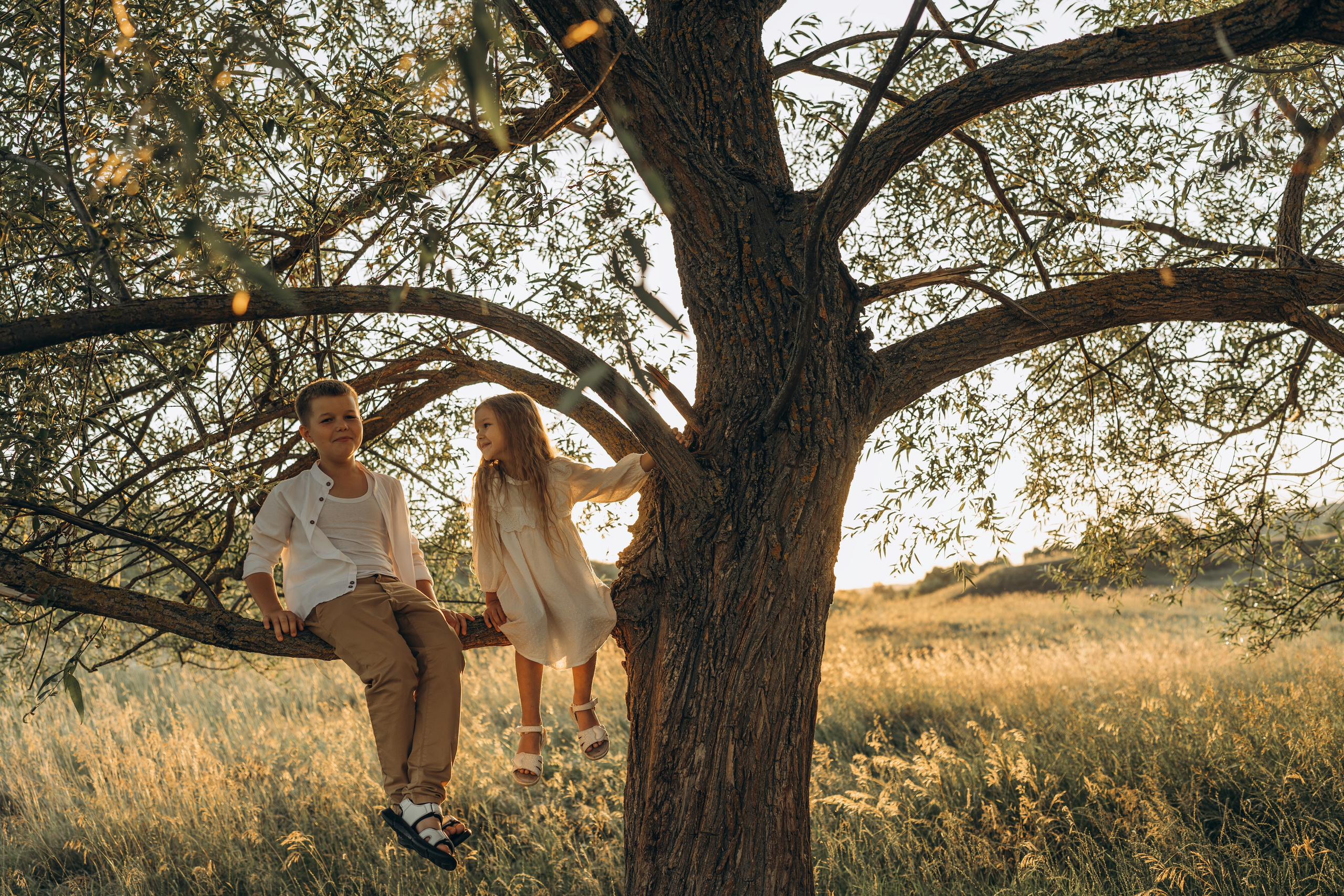 Летний луг, закат. Семейный фотограф Москва. Фотограф беременности и материнства Москва