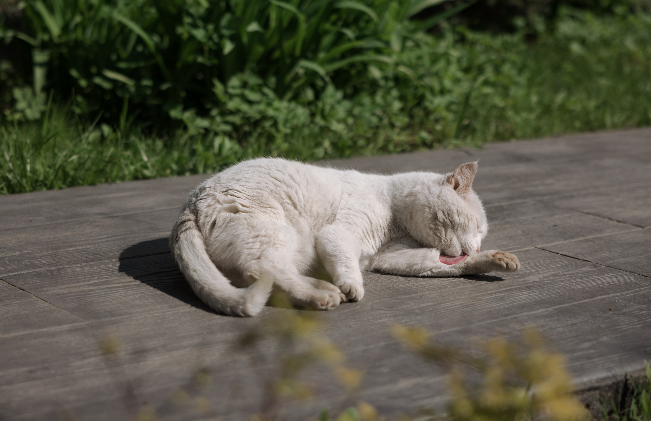 МЫ С ТОБОЮ СВЯЗАНЫ. Фотограф Наталия Бирюкова