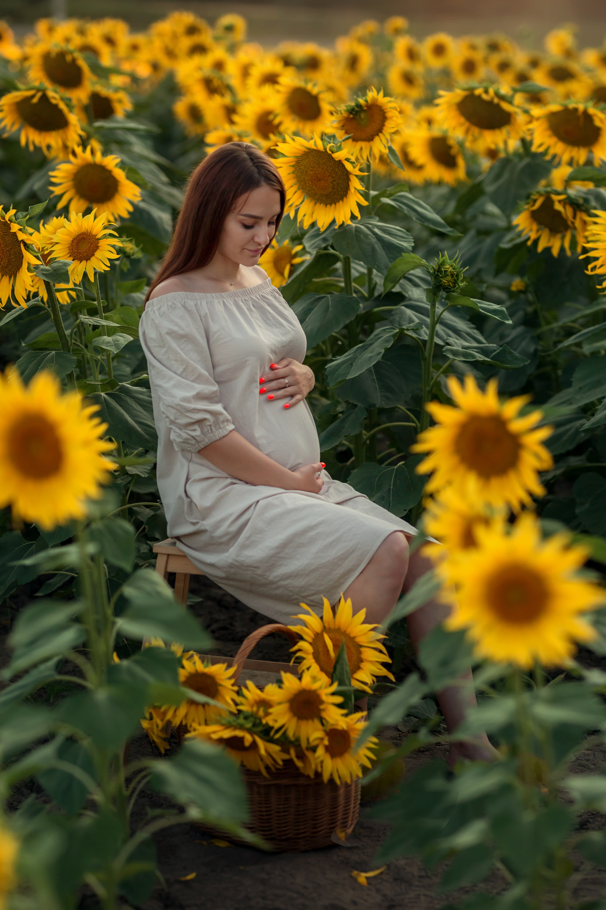 Подсолнухи. Семейный и детский фотограф Екатерина Савёлова
