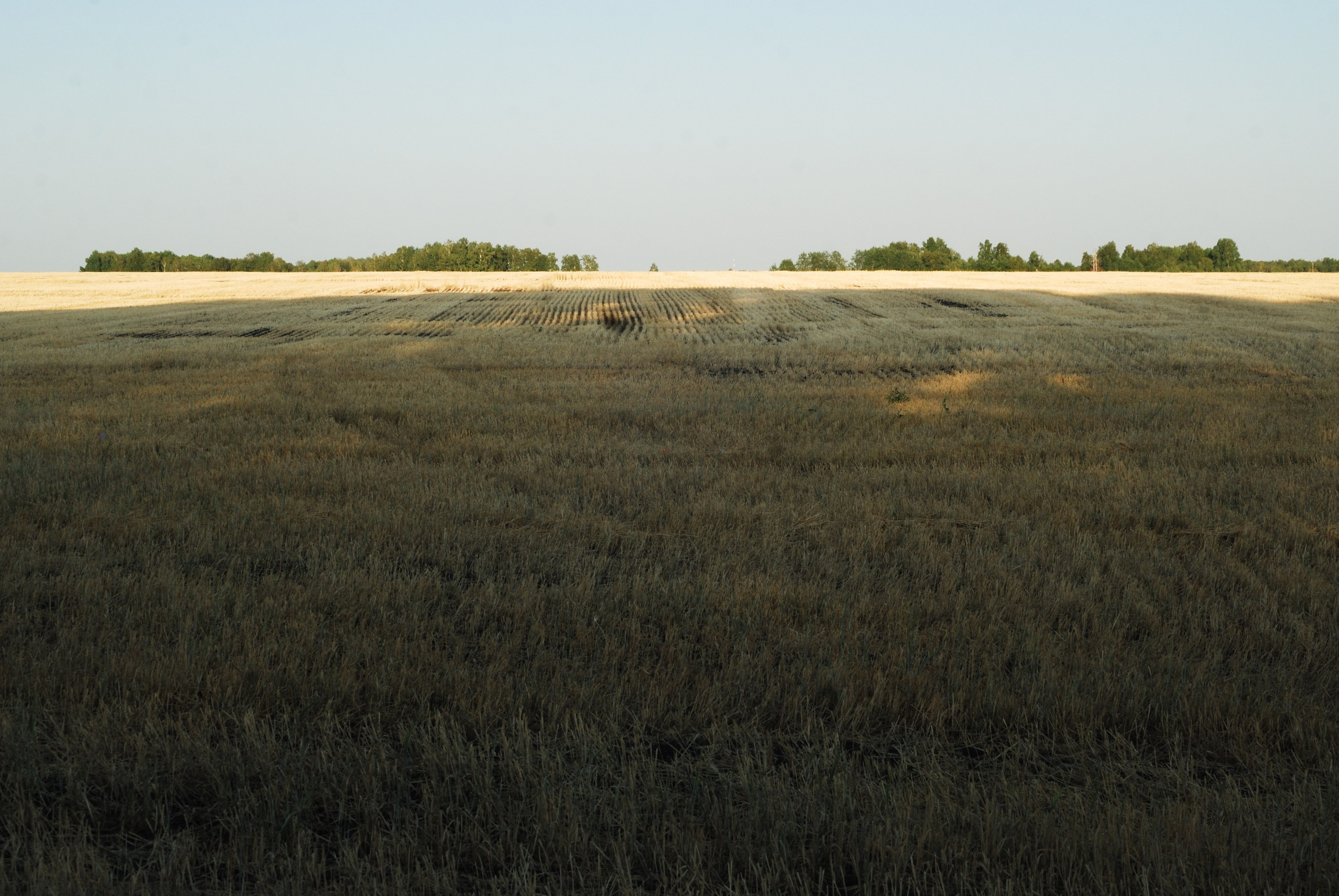 Этот прекрасный мир