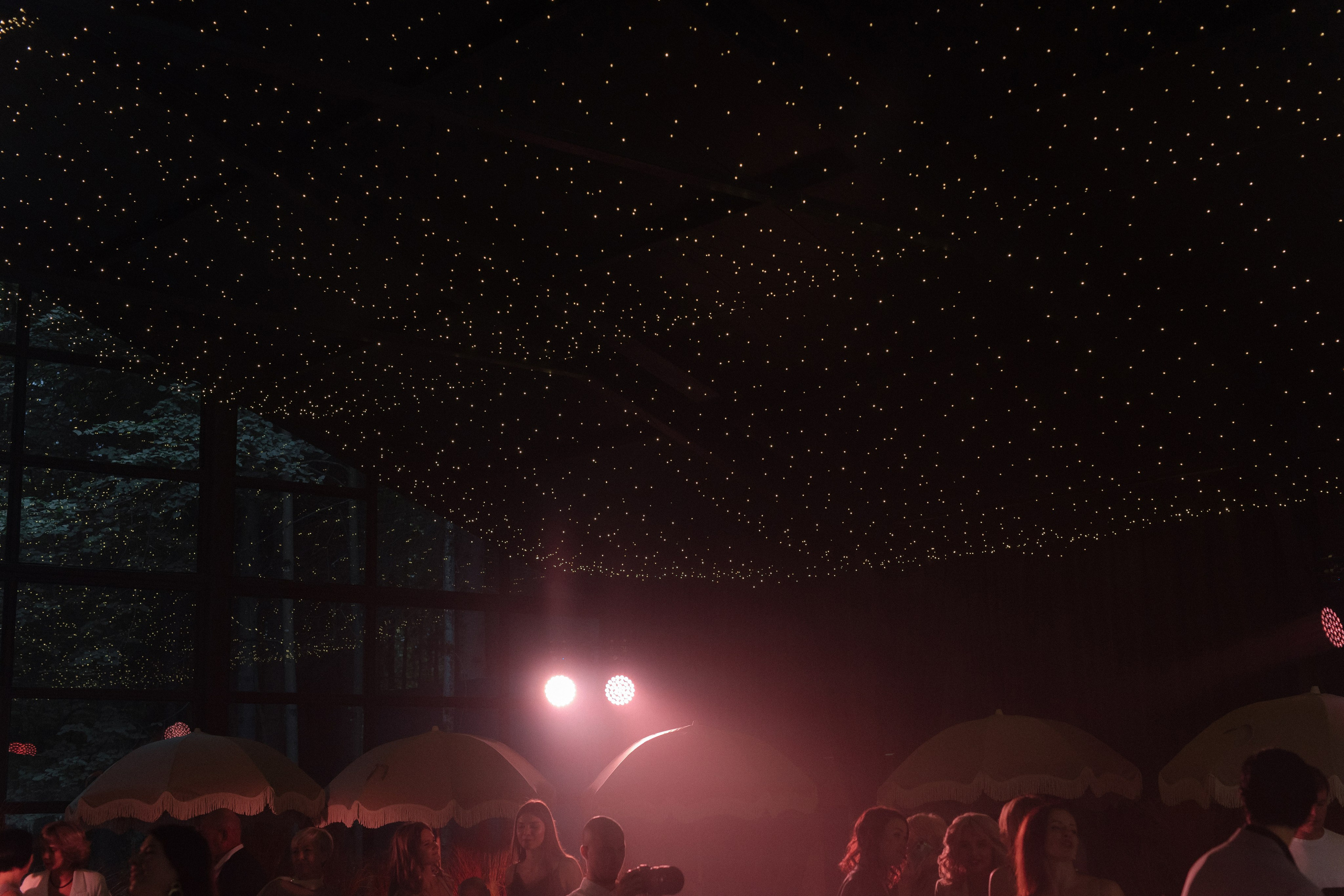 WED DAY 12/08. Свадебный фотограф в Москве Дмитрий Тарасов