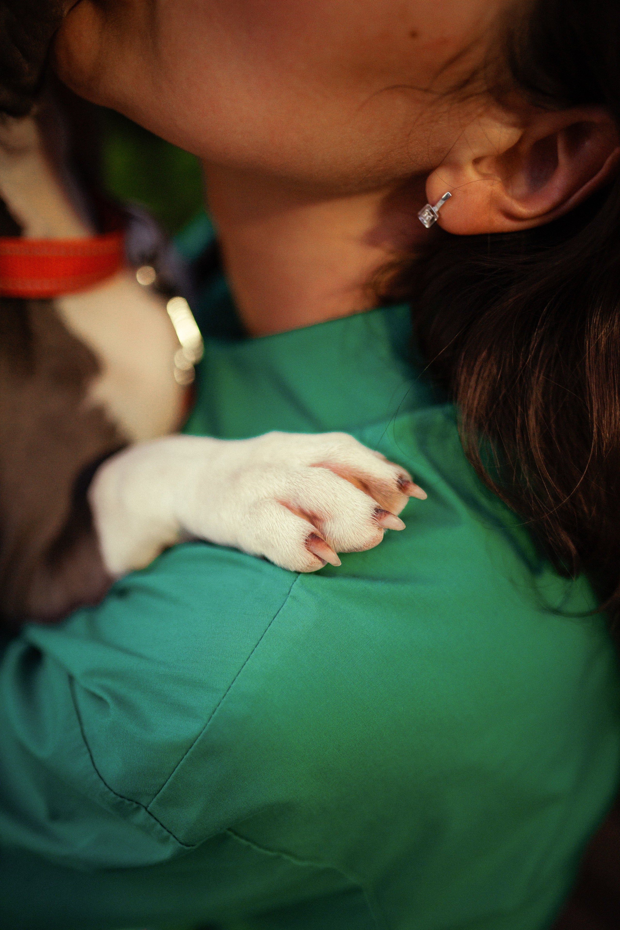 Сильвия и Терра. Александр Атлес Фотограф