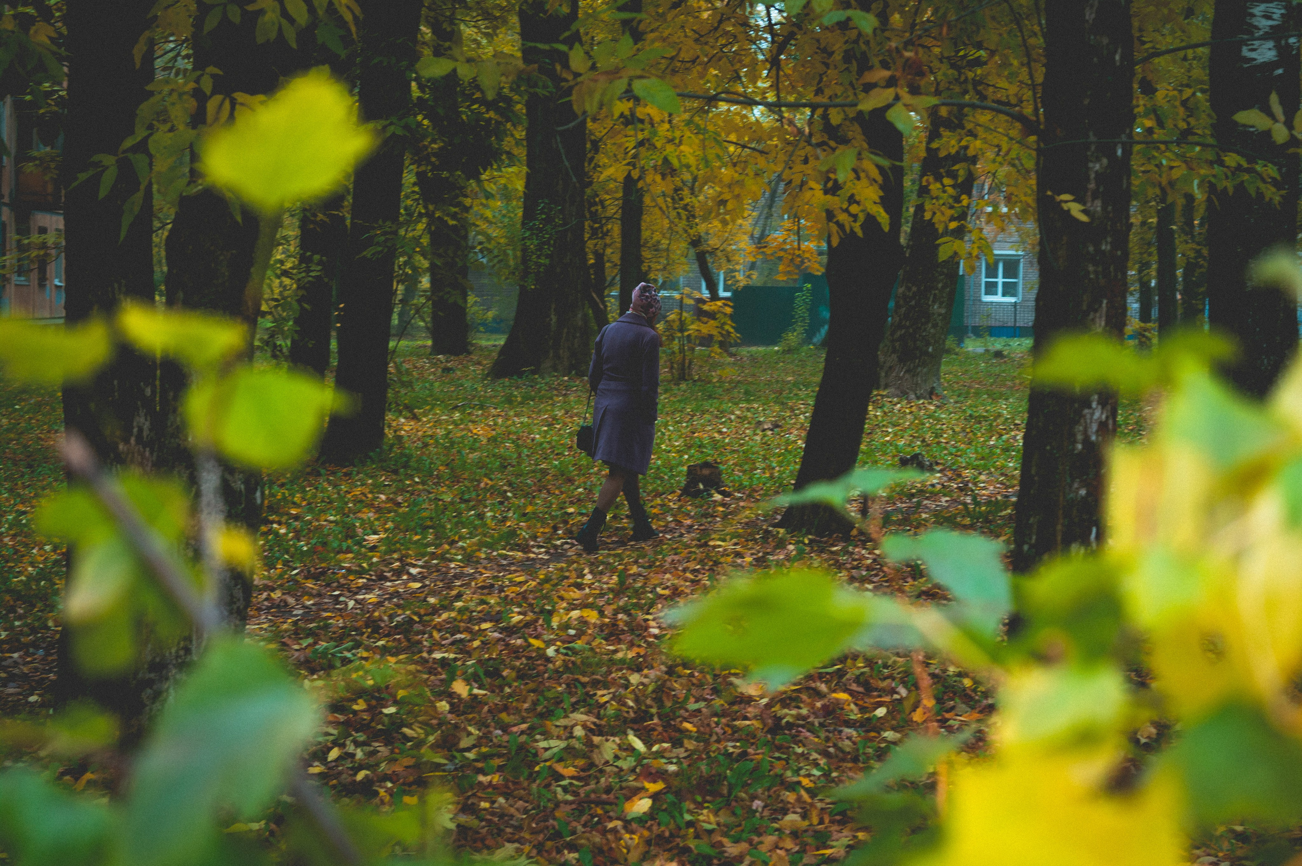 Октябрь 2025. Den Mirov — Фотограф, Музыкант