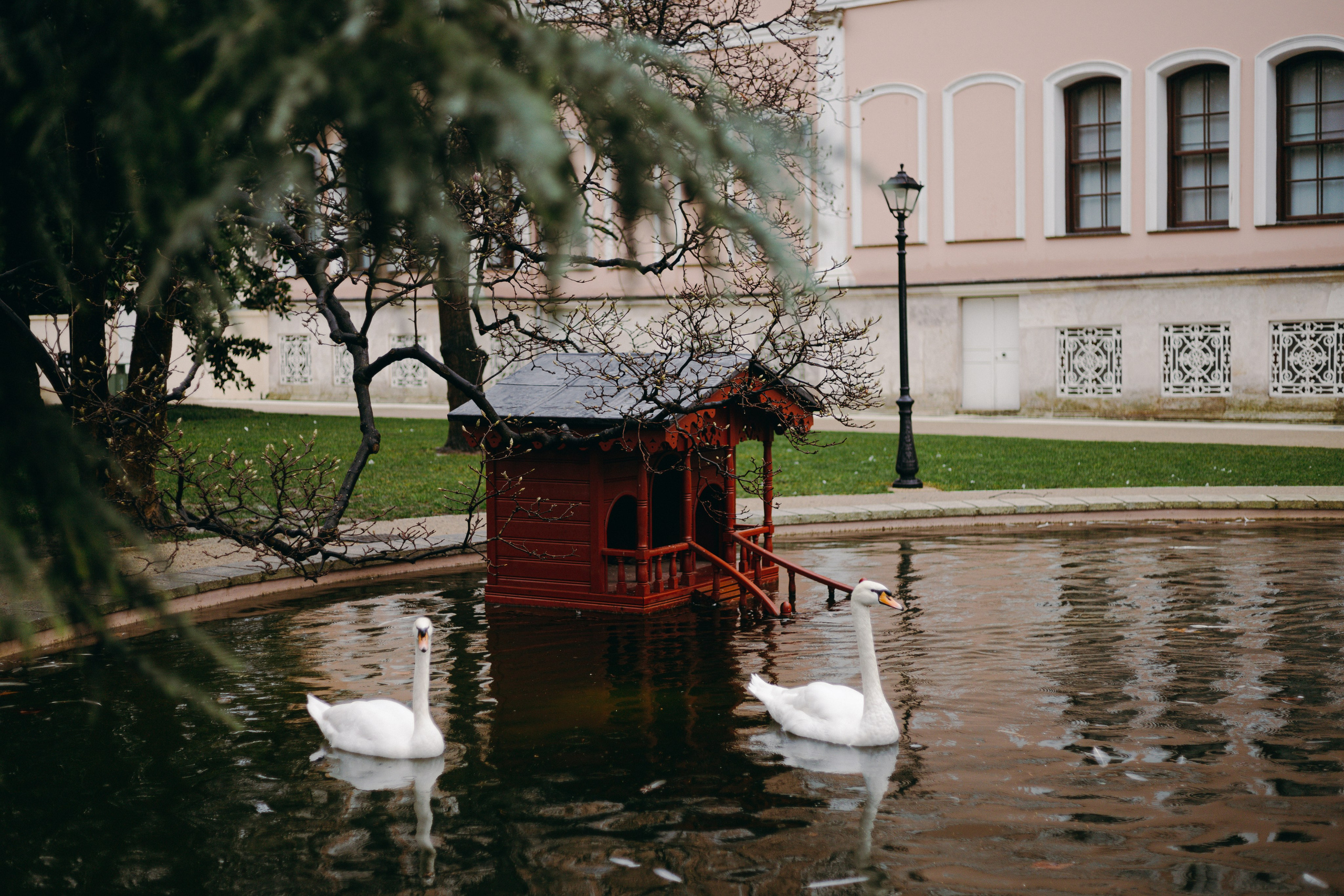 Стамбул. Профессиональный Фотограф во Владимире, в Москве и в Суздале — Полина Романычева