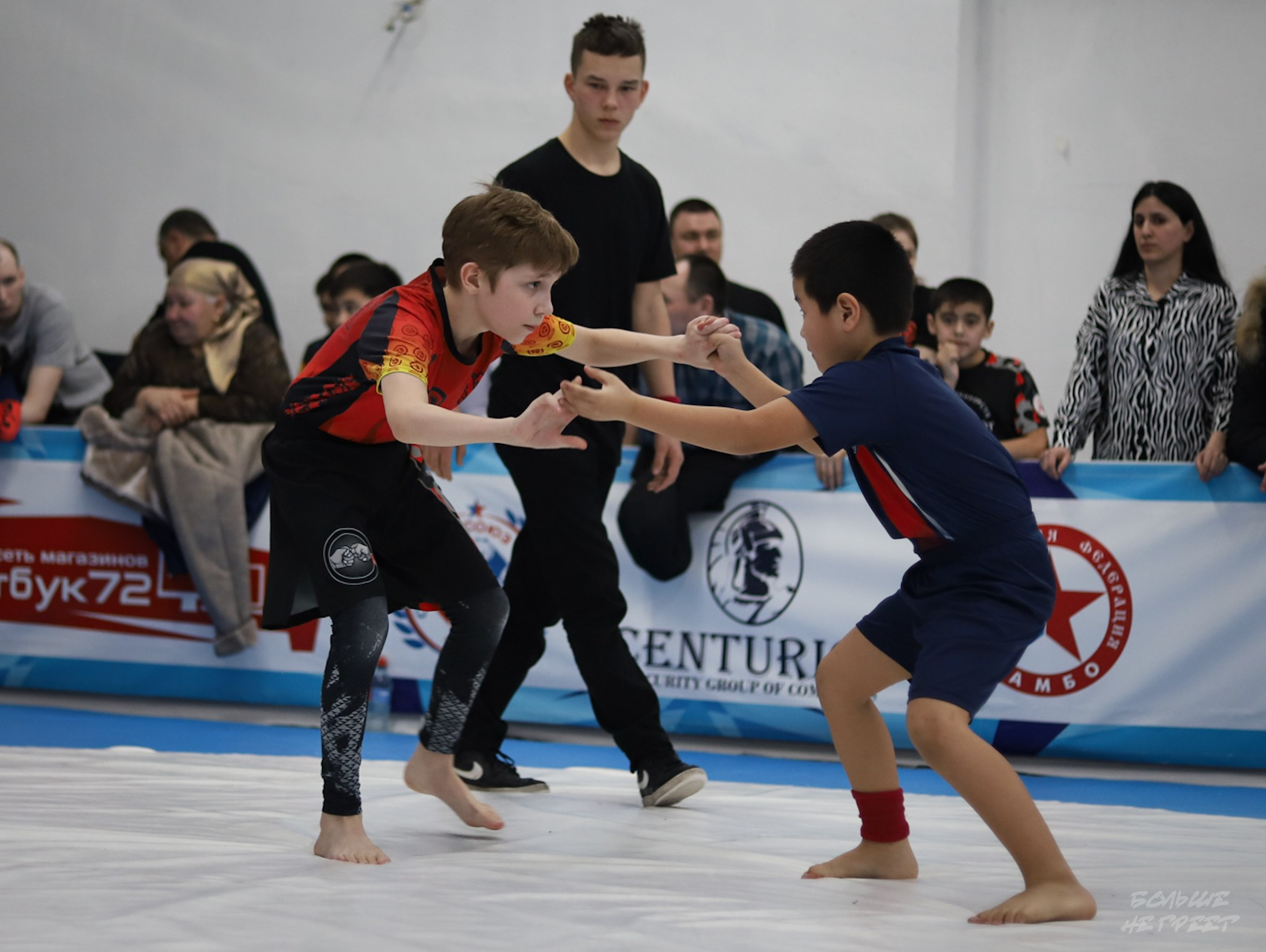 GORILLA PRIDE CUP. Больше не греет