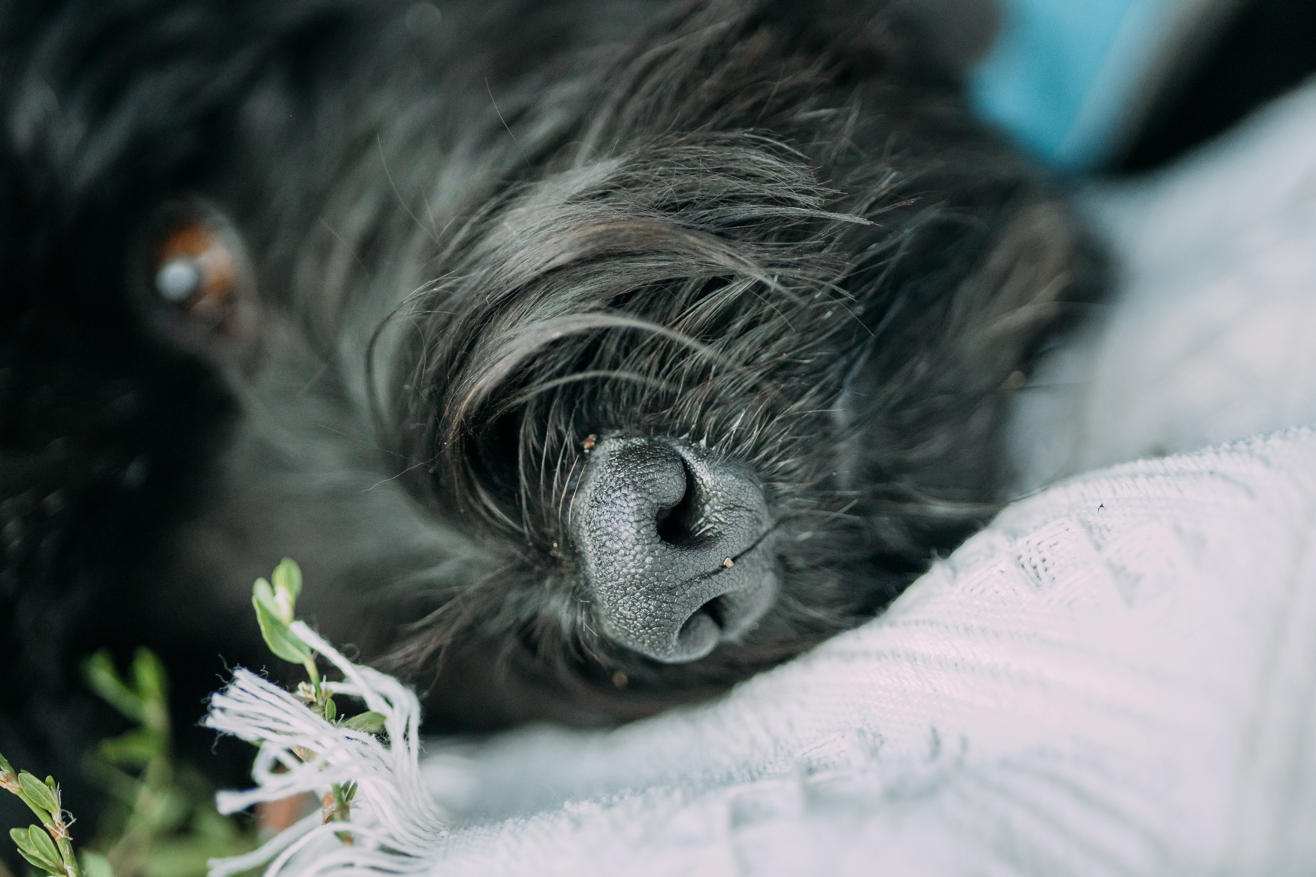 Фотопрогулка. Анна и Маришка. Фотограф Яна Матвеева в Ижевске