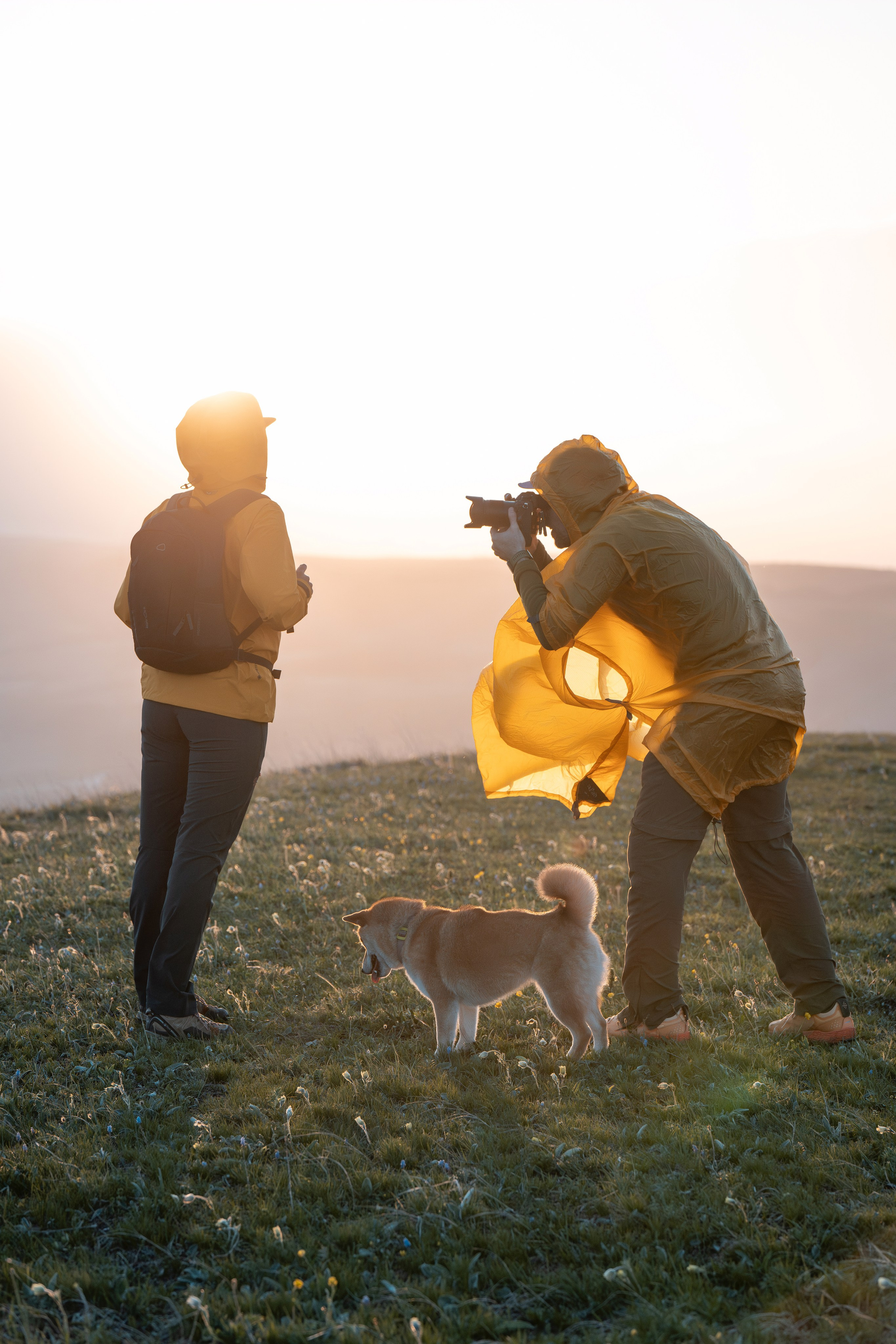 Контент. Фотографы Дарья и Дмитрий Арсентьевы