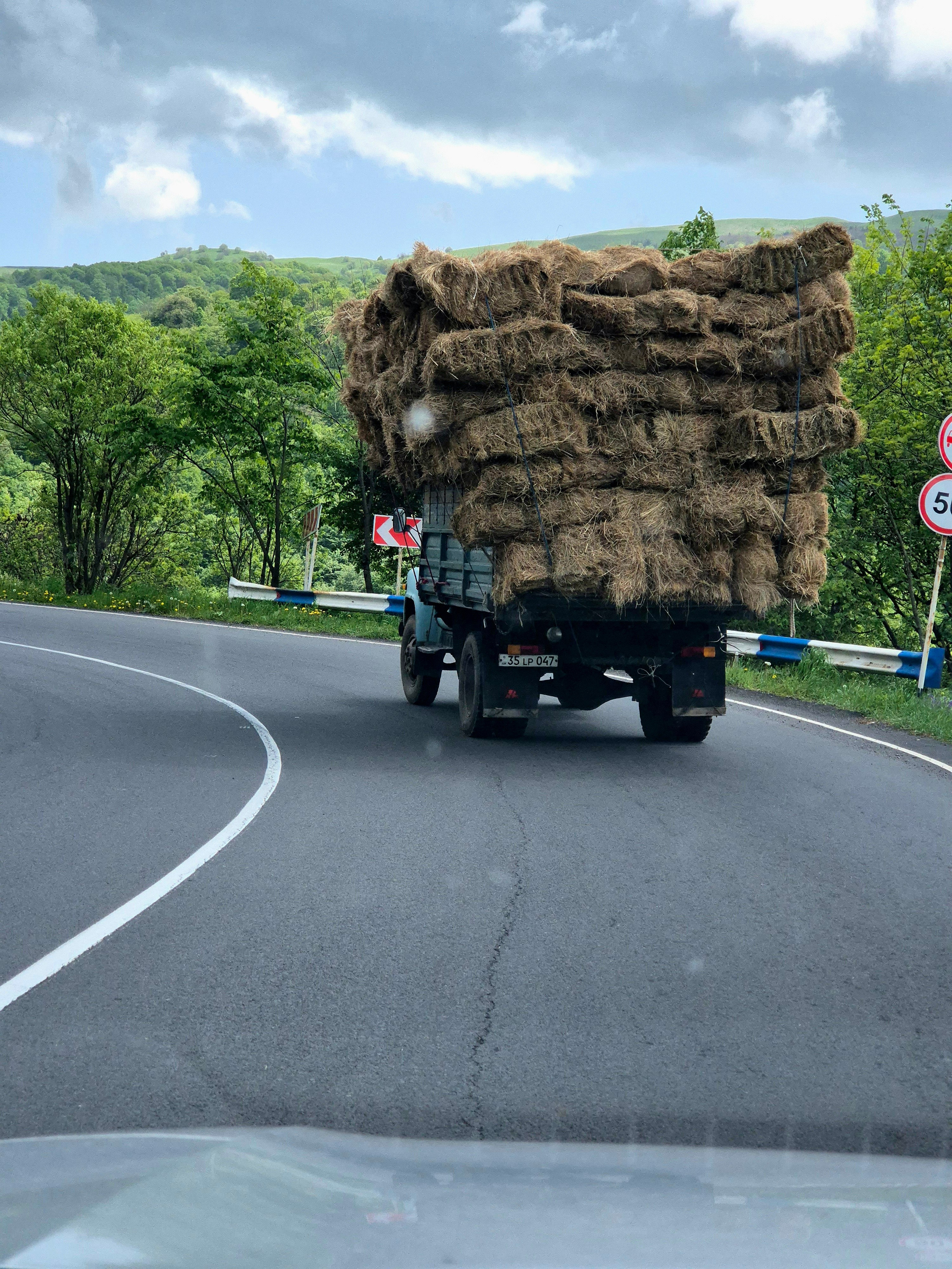 По дороге из Дилижана встречались вот такие повозки (грузовиком это назвать как-то язык не поворачивается)